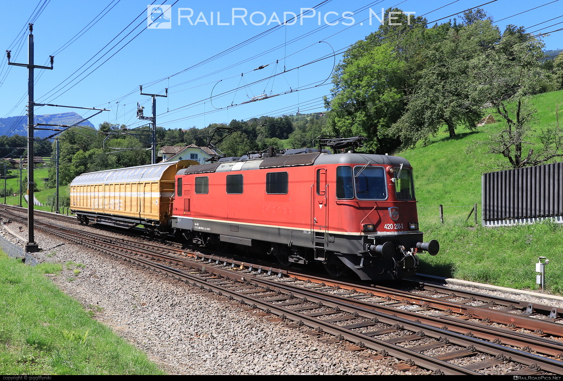SLM Re 420 - 420 250-3 operated by Schweizerische Bundesbahnen SBB Cargo AG #SchweizerischeBundesbahnen #SchweizerischeBundesbahnenCargo #re420 #re44ii #sbb #sbbRe420 #sbbc #schweizerischelokomotivundmaschinenfabrik #slm #swisslocomotiveandmachineworks