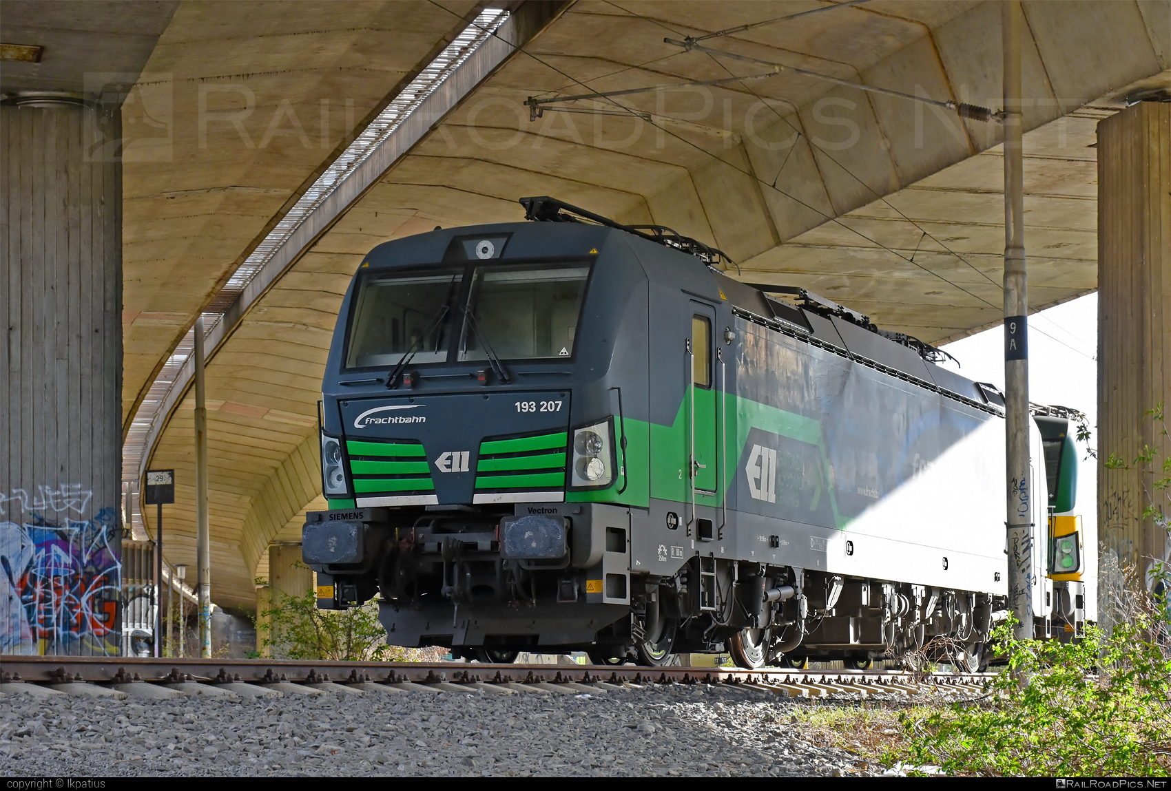 Siemens Vectron MS - 193 207 operated by FRACHTbahn Traktion GmbH #ell #ellgermany #eloc #europeanlocomotiveleasing #frachtbahn #frachtbahntraktion #frachtbahntraktiongmbh #siemens #siemensVectron #siemensVectronMS #vectron #vectronMS