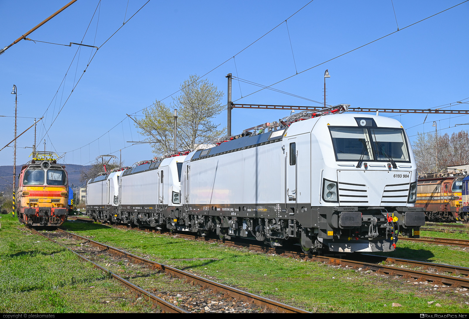 Siemens Vectron MS - 193 984-2 operated by LOKORAIL, a.s. #RollingStockLease #RollingStockLeaseSro #budamar #lokorail #lrl #raill #siemens #siemensVectron #siemensVectronMS #vectron #vectronMS