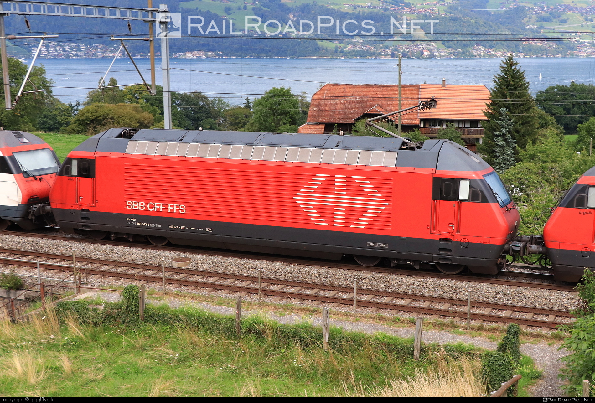 SBB Class Re 460 - 460 042 operated by Schweizerische Bundesbahnen SBB #CFF #CheminsDeFerFederauxSuisses #FFS #FerrovieFederaliSvizzere #SBB #SchweizerischeBundesbahnen #lok2000 #sbbClassRe460 #sbbRe460