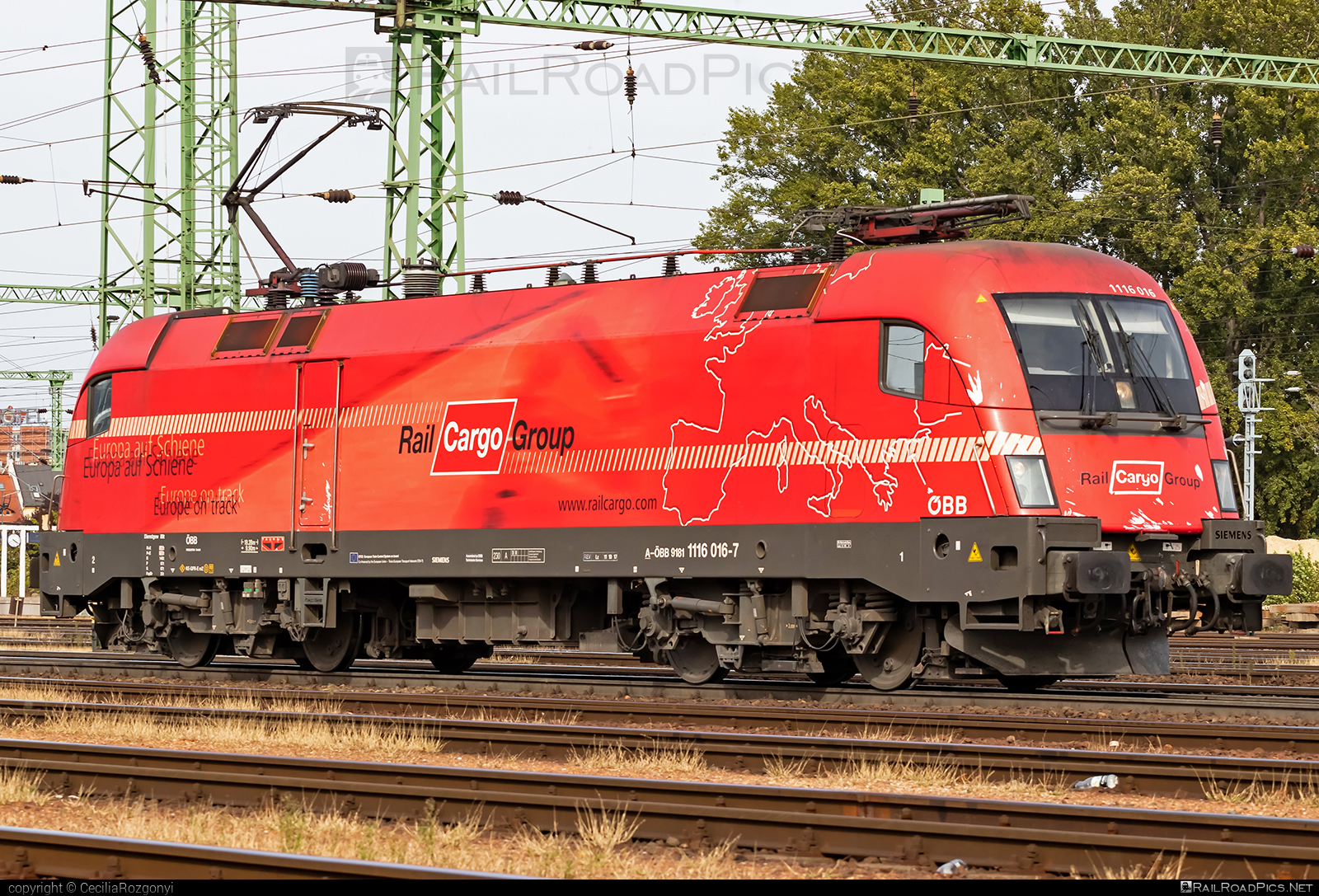 Siemens ES 64 U2 - 1116 016 operated by Rail Cargo Hungaria ZRt. #es64 #es64u2 #eurosprinter #obb #osterreichischebundesbahnen #rch #siemens #siemensEs64 #siemensEs64u2 #siemenstaurus #taurus #tauruslocomotive
