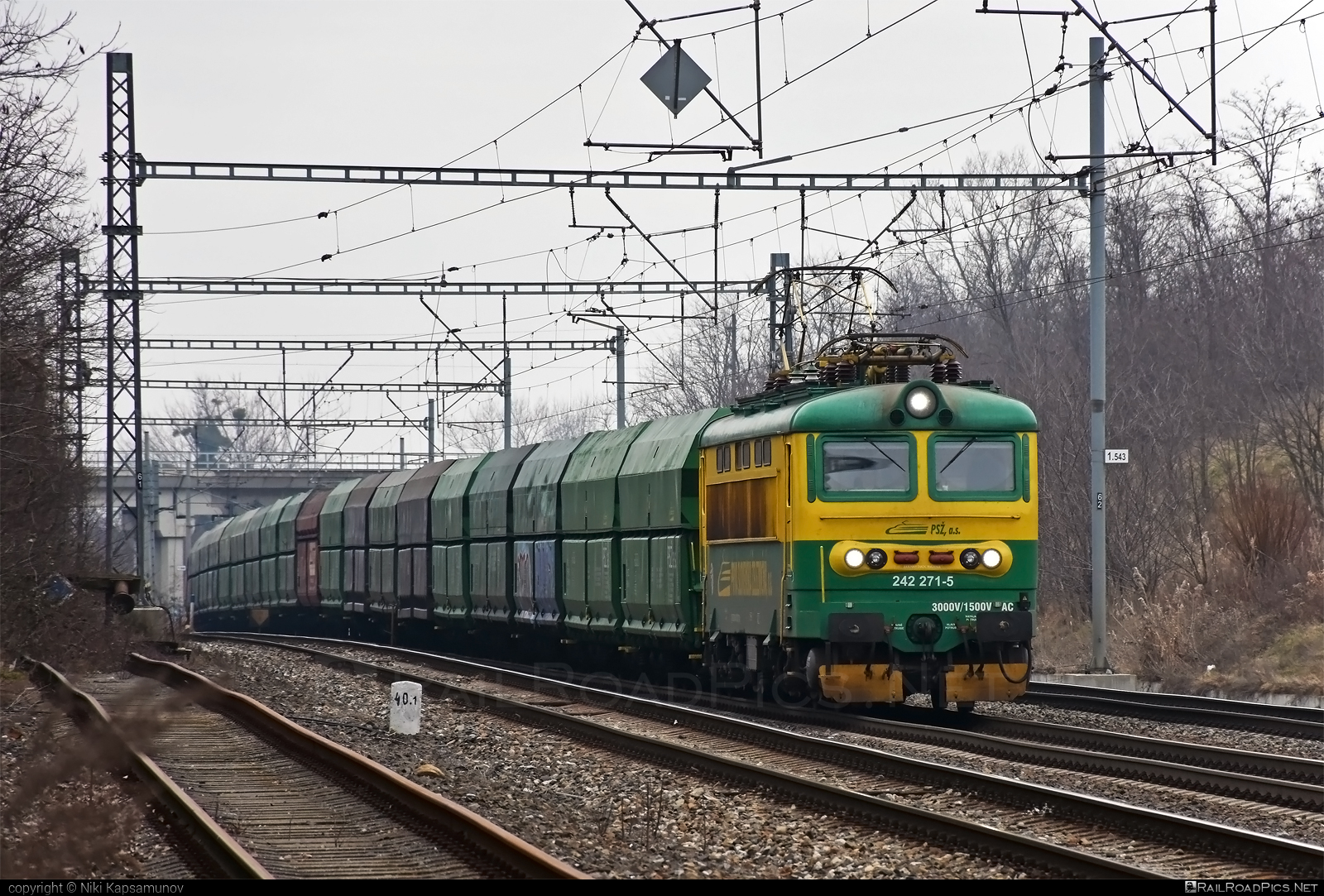 Škoda 73E - 242 271-5 operated by Prvá Slovenská železničná, a.s. #hopperwagon #locomotive242 #plechac #prvaslovenskazeleznicna #prvaslovenskazeleznicnaas #psz #skoda #skoda73e
