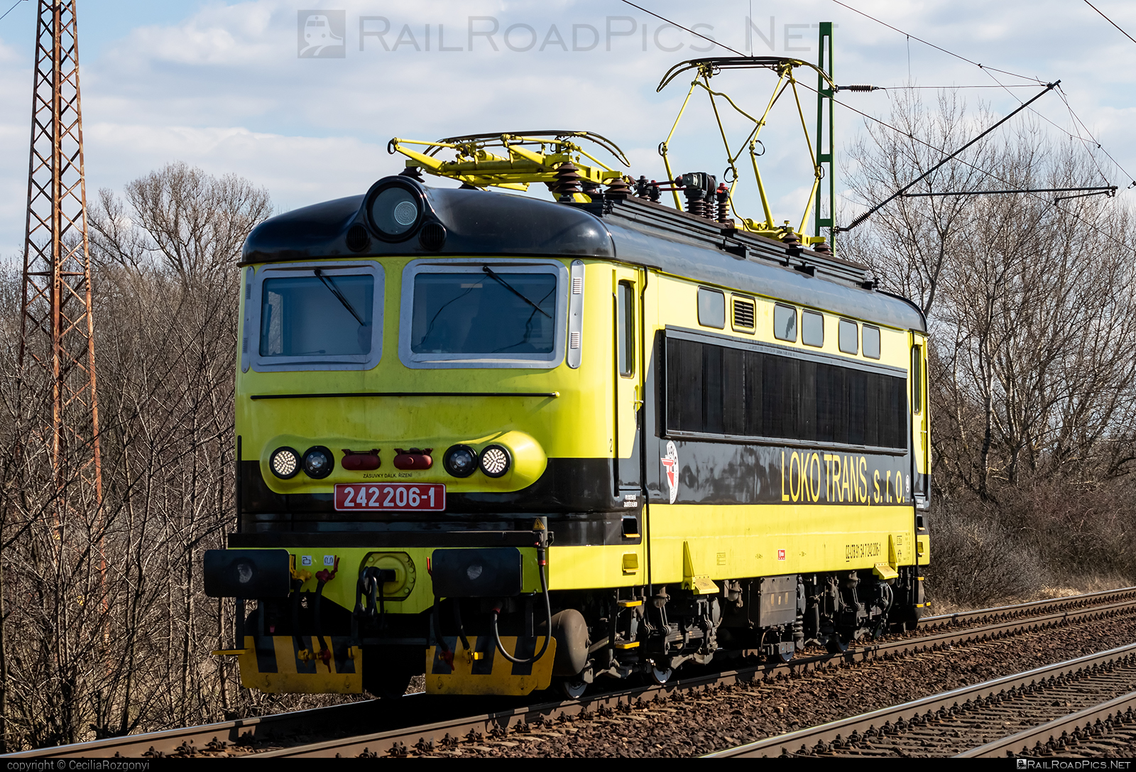Škoda 73E - 242 206-1 operated by LOKO TRANS s.r.o. #locomotive242 #lokotrans #plechac #skoda #skoda73e