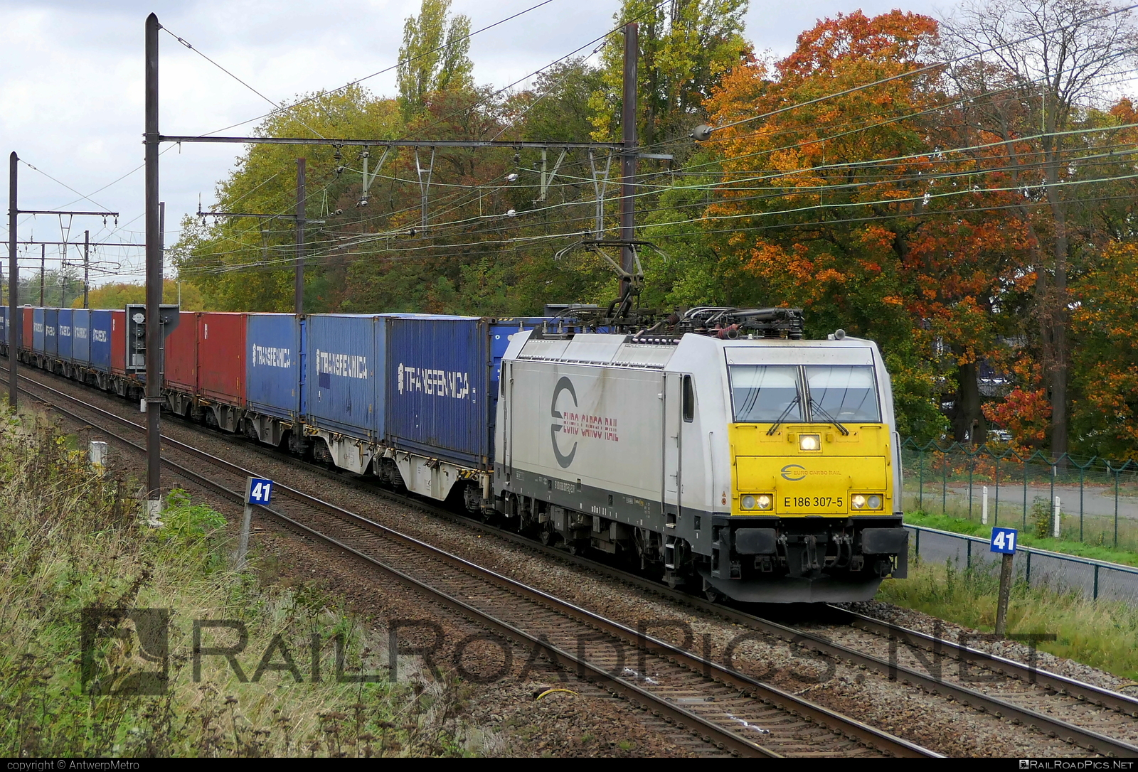 E 186 307-5 - Bombardier TRAXX F140 MS operated by Euro Cargo Rail