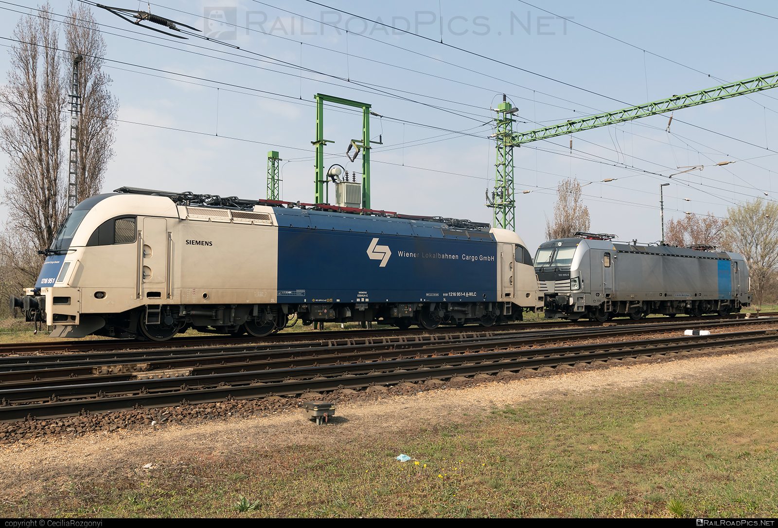 Siemens ES 64 U4 - 1216 951 operated by Wiener Lokalbahnen Cargo GmbH #es64 #es64u4 #eurosprinter #siemens #siemensEs64 #siemensEs64u4 #siemenstaurus #taurus #tauruslocomotive #wienerlokalbahnencargo #wienerlokalbahnencargogmbh #wlc