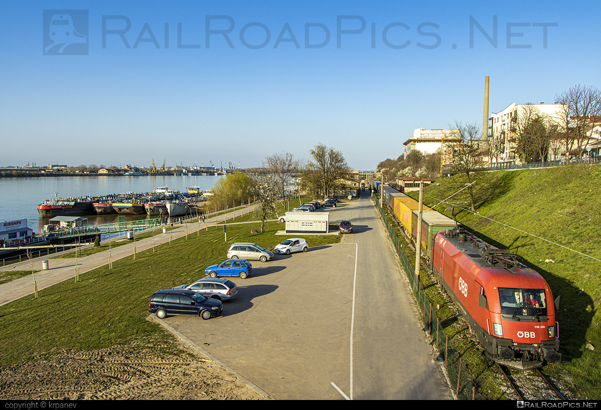 Siemens ES 64 U2 - 1116 258 operated by Rail Cargo Carrier - Bulgaria #RailCargoCarrierBulgaria #es64 #es64u2 #eurosprinter #flatwagon #obb #osterreichischebundesbahnen #rccbg #siemens #siemensEs64 #siemensEs64u2 #siemenstaurus #taurus #tauruslocomotive