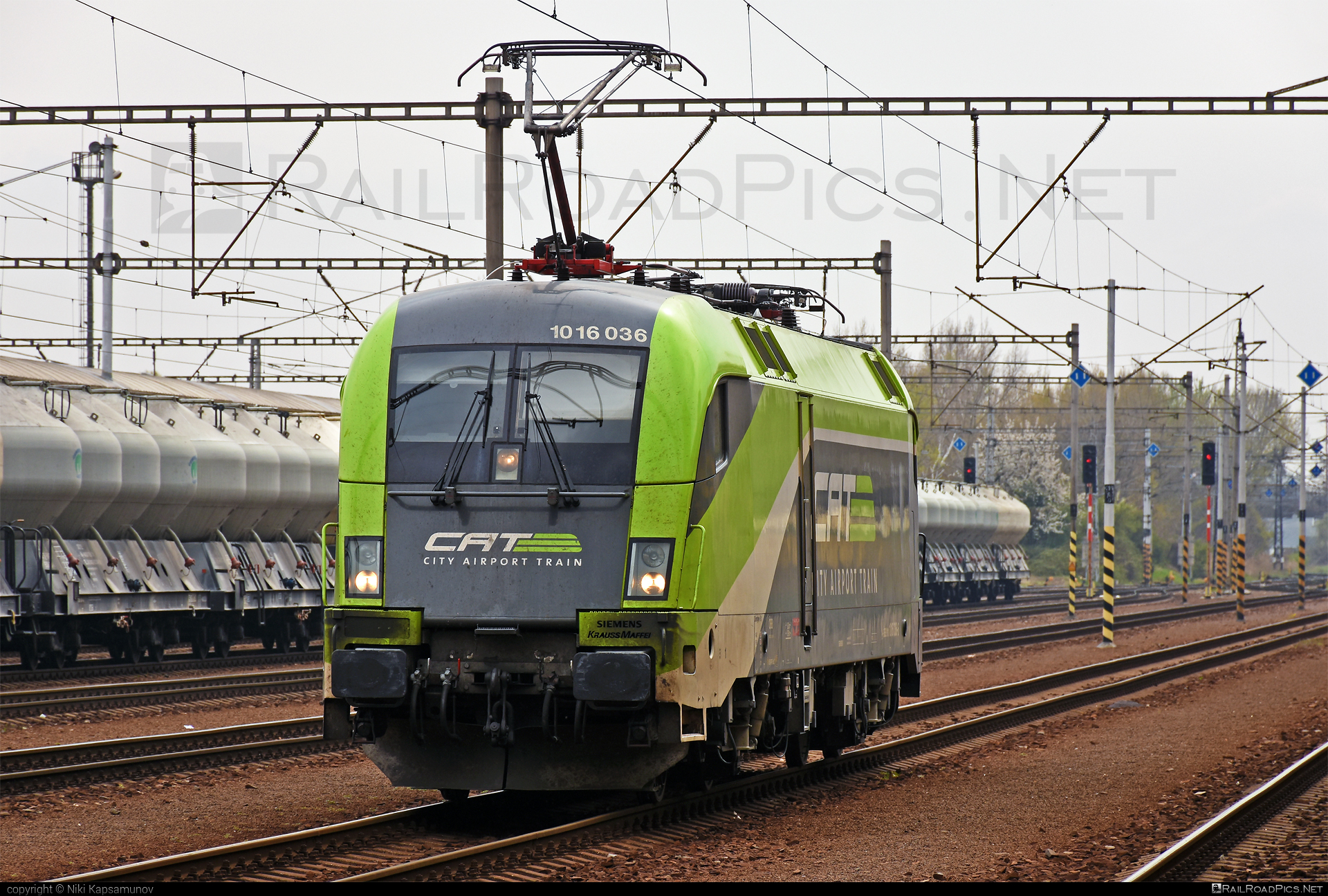 Siemens ES 64 U2 - 1016 036 operated by Rail Cargo Austria AG #cat #es64 #es64u2 #eurosprinter #obb #osterreichischebundesbahnen #rcw #siemens #siemenses64 #siemenses64u2 #siemenstaurus #taurus #tauruslocomotive