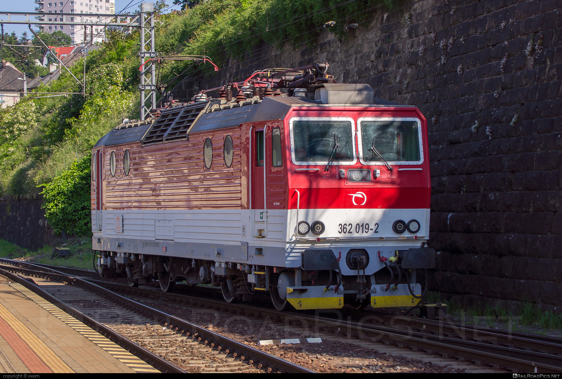Škoda 69Er - 362 019-2 operated by Železničná Spoločnost' Slovensko, a.s. #ZeleznicnaSpolocnostSlovensko #eso #locomotive362 #rychleeso #skoda #skoda69er #zssk