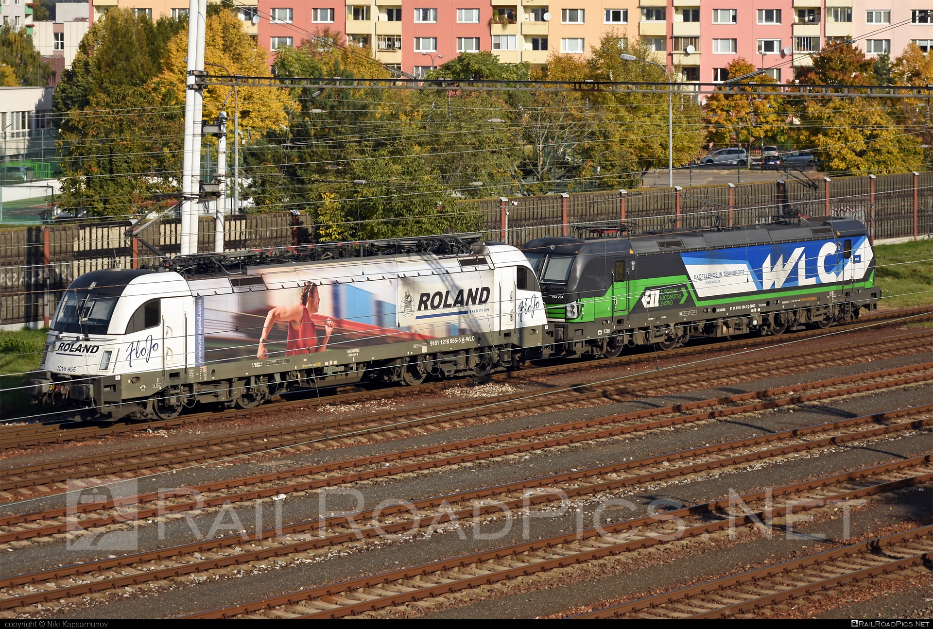 Siemens ES 64 U4 - 1216 955 operated by Wiener Lokalbahnen Cargo GmbH #es64 #es64u4 #eurosprinter #roland #siemens #siemensEs64 #siemensEs64u4 #siemenstaurus #taurus #tauruslocomotive #wienerlokalbahnencargo #wienerlokalbahnencargogmbh #wlc