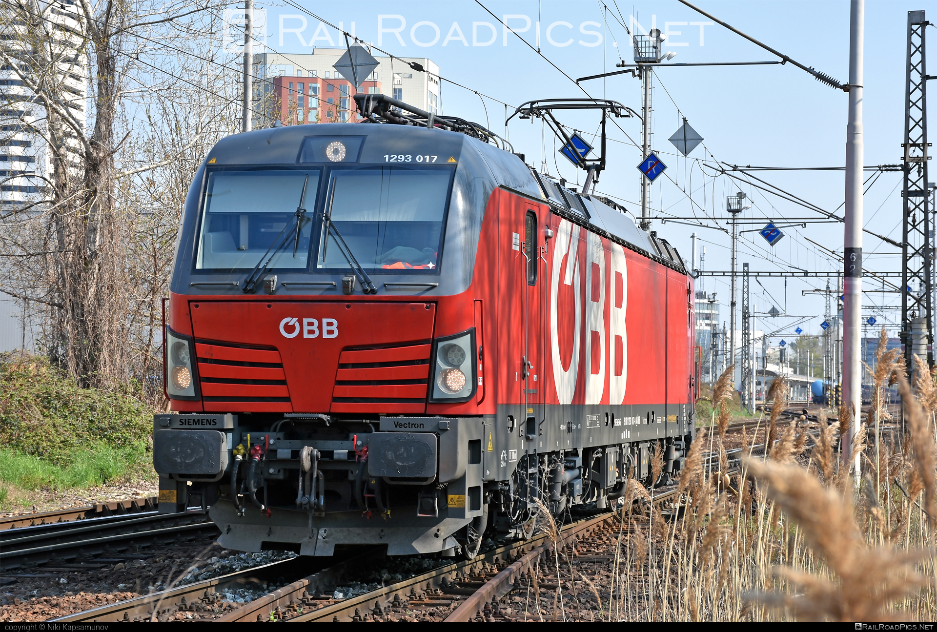Siemens Vectron MS - 1293 017 operated by Rail Cargo Austria AG #obb #osterreichischebundesbahnen #rcw #siemens #siemensVectron #siemensVectronMS #vectron #vectronMS