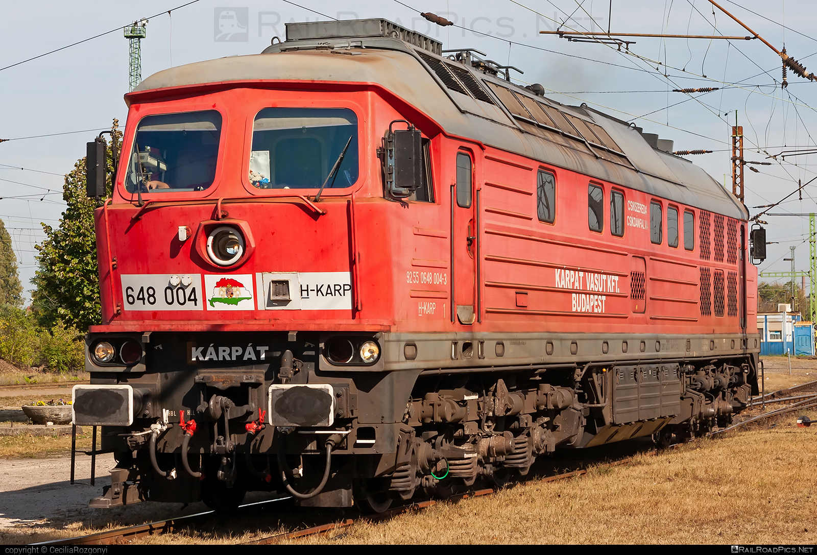 Lugansk TE109 - 648 004 operated by KÁRPÁT Vasút Kft #db233 #ltz #ltzte109 #ludmila #ludmilla #lugansk #luganskte109 #luganskteplovoz #luhansklocomotiveworks #luhanskteplovoz #ragulin