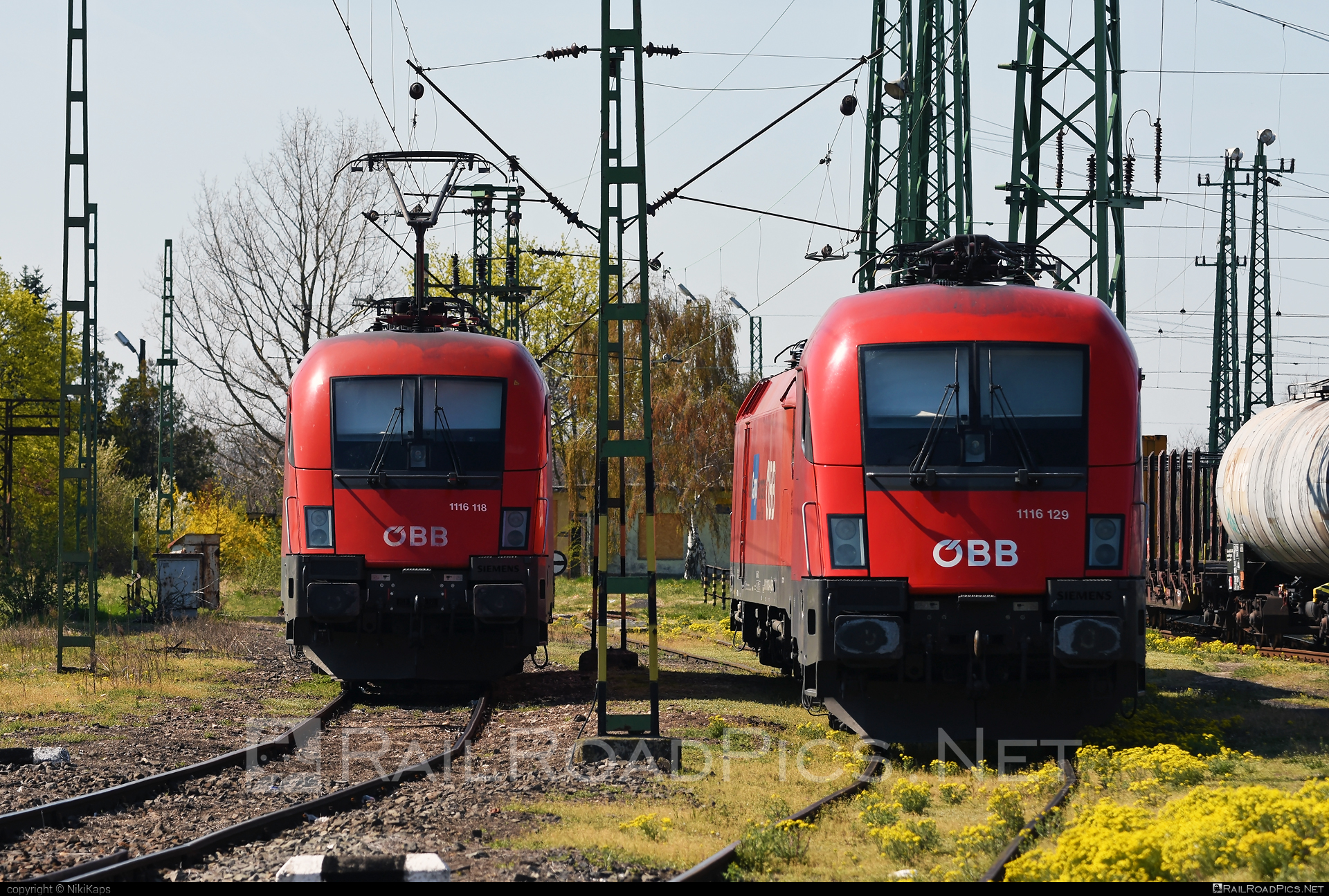 Siemens ES 64 U2 - 1116 129 operated by Rail Cargo Hungaria ZRt. #es64 #es64u2 #eurosprinter #obb #osterreichischebundesbahnen #rch #siemens #siemensEs64 #siemensEs64u2 #siemenstaurus #taurus #tauruslocomotive