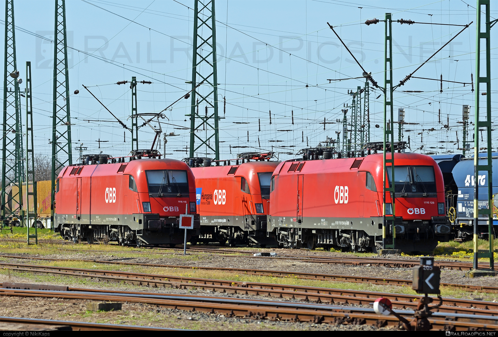 Siemens ES 64 U2 - 1116 118 operated by Rail Cargo Hungaria ZRt. #es64 #es64u2 #eurosprinter #obb #osterreichischebundesbahnen #rch #siemens #siemensEs64 #siemensEs64u2 #siemenstaurus #taurus #tauruslocomotive