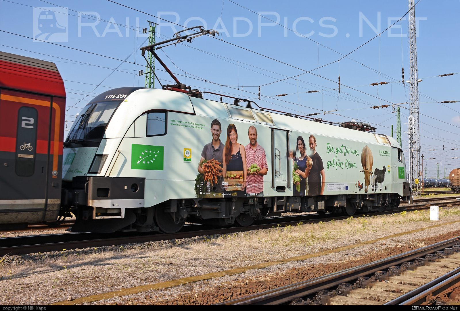 Siemens ES 64 U2 - 1116 231 operated by Österreichische Bundesbahnen #es64 #es64u2 #eurosprinter #obb #obbrailjet #osterreichischebundesbahnen #railjet #siemens #siemensEs64 #siemensEs64u2 #siemenstaurus #taurus #tauruslocomotive