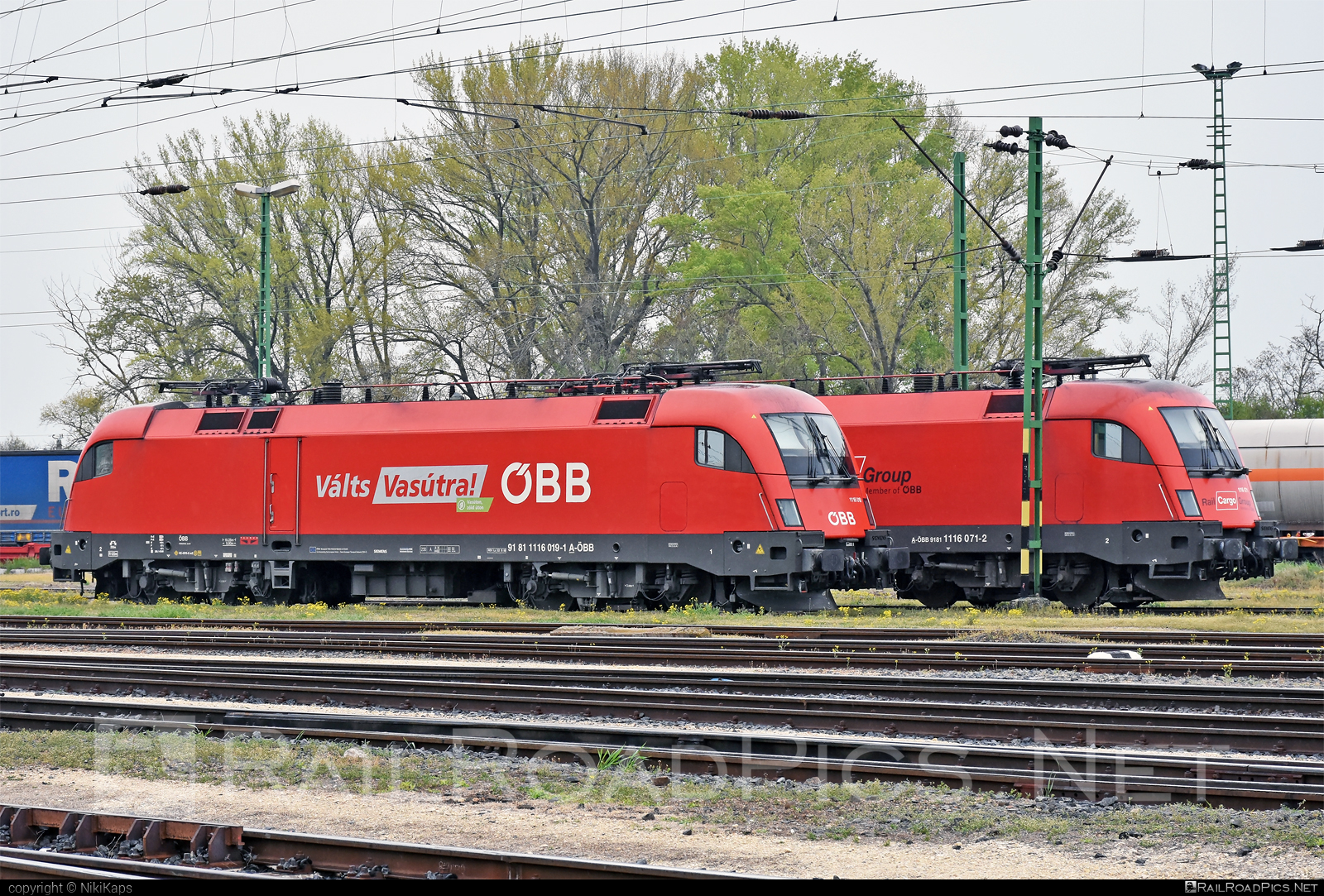 Siemens ES 64 U2 - 1116 019 operated by Rail Cargo Hungaria ZRt. #es64 #es64u2 #eurosprinter #obb #osterreichischebundesbahnen #rch #siemens #siemensEs64 #siemensEs64u2 #siemenstaurus #taurus #tauruslocomotive