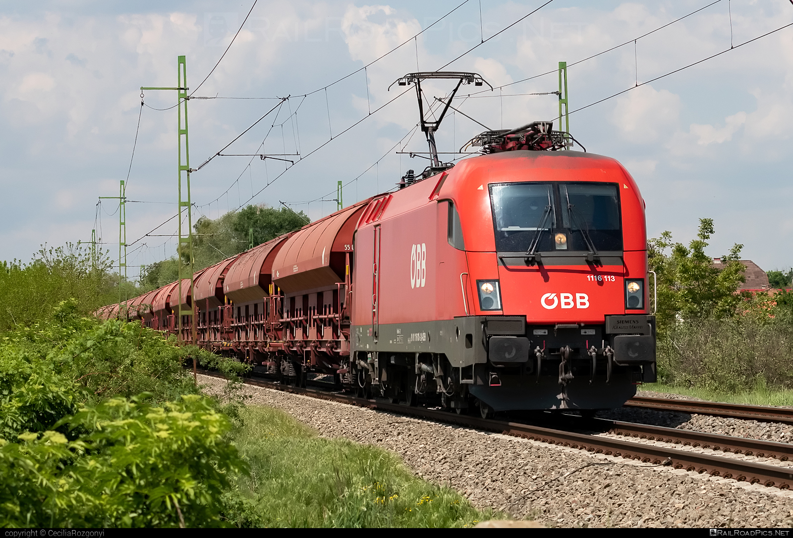 Siemens ES 64 U2 - 1116 113 operated by Rail Cargo Hungaria ZRt. #es64 #es64u2 #eurosprinter #hopperwagon #obb #osterreichischebundesbahnen #rch #siemens #siemenses64 #siemenses64u2 #siemenstaurus #taurus #tauruslocomotive