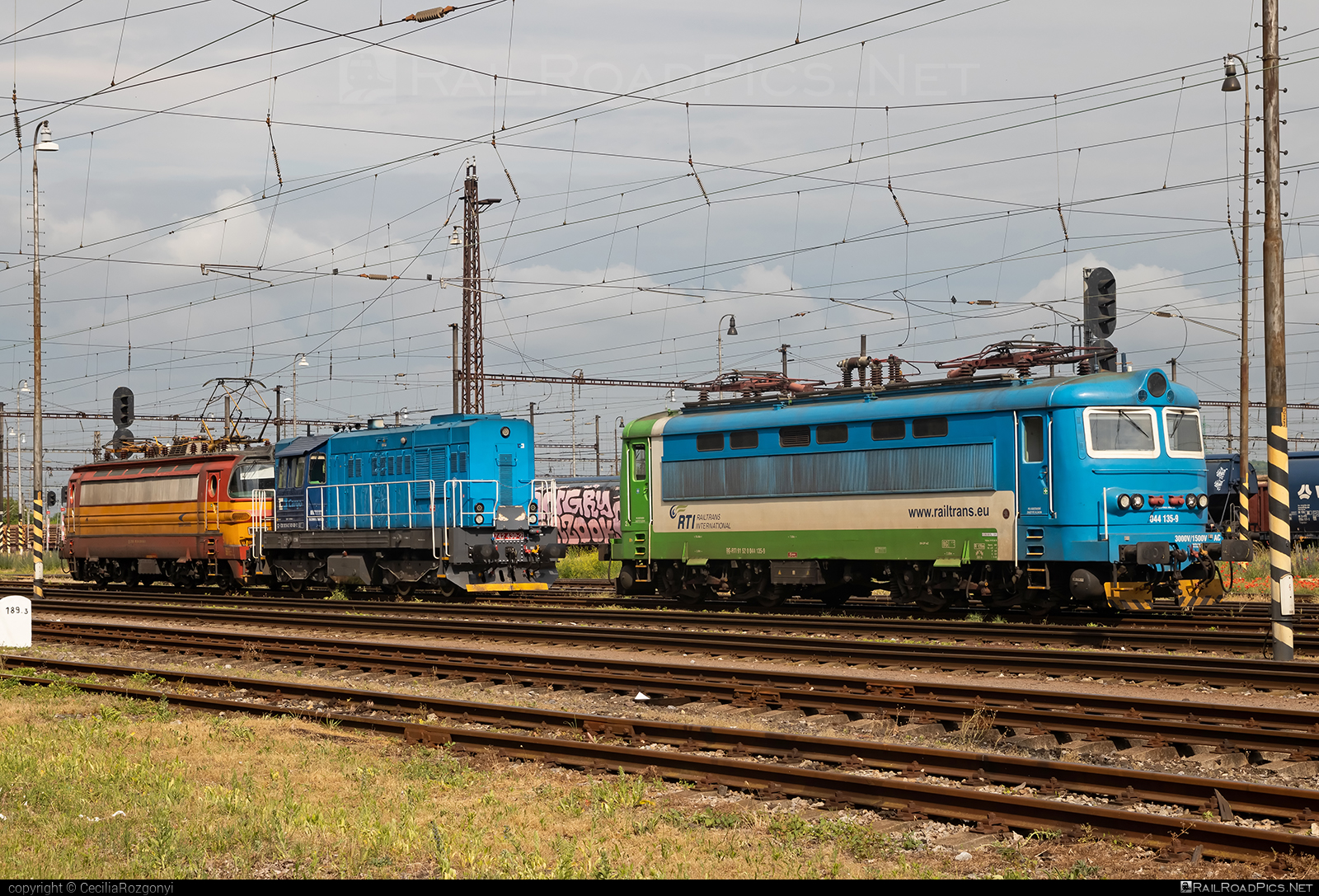 Škoda 73E - 044 135-9 operated by Railtrans International, s.r.o #RailtransInternational #locomotive242 #plechac #rti #skoda #skoda73e
