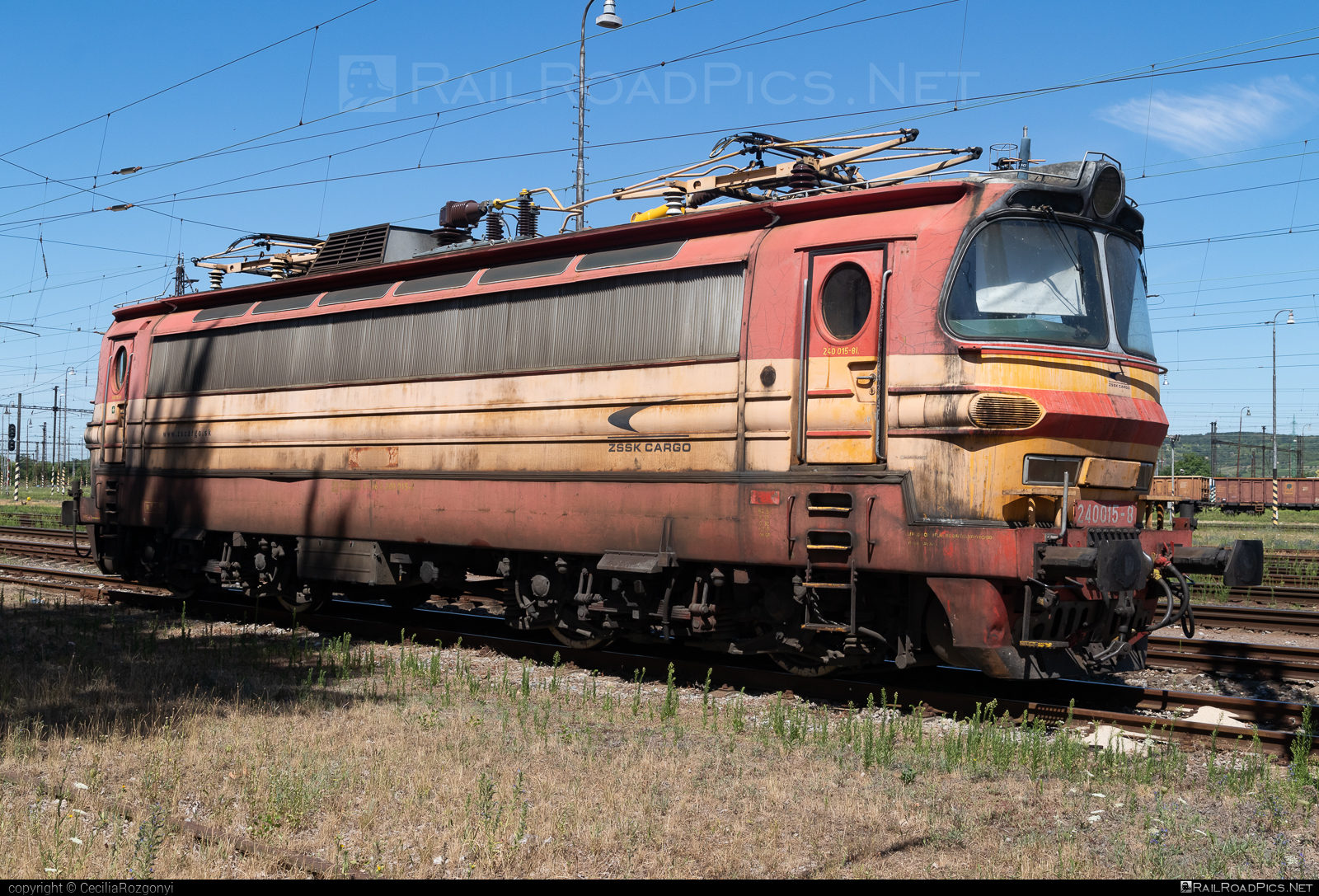 Škoda 47E - 240 015-8 operated by Železničná Spoločnost' Cargo Slovakia a.s. #ZeleznicnaSpolocnostCargoSlovakia #laminatka #locomotive240 #skoda #skoda47e #zsskcargo