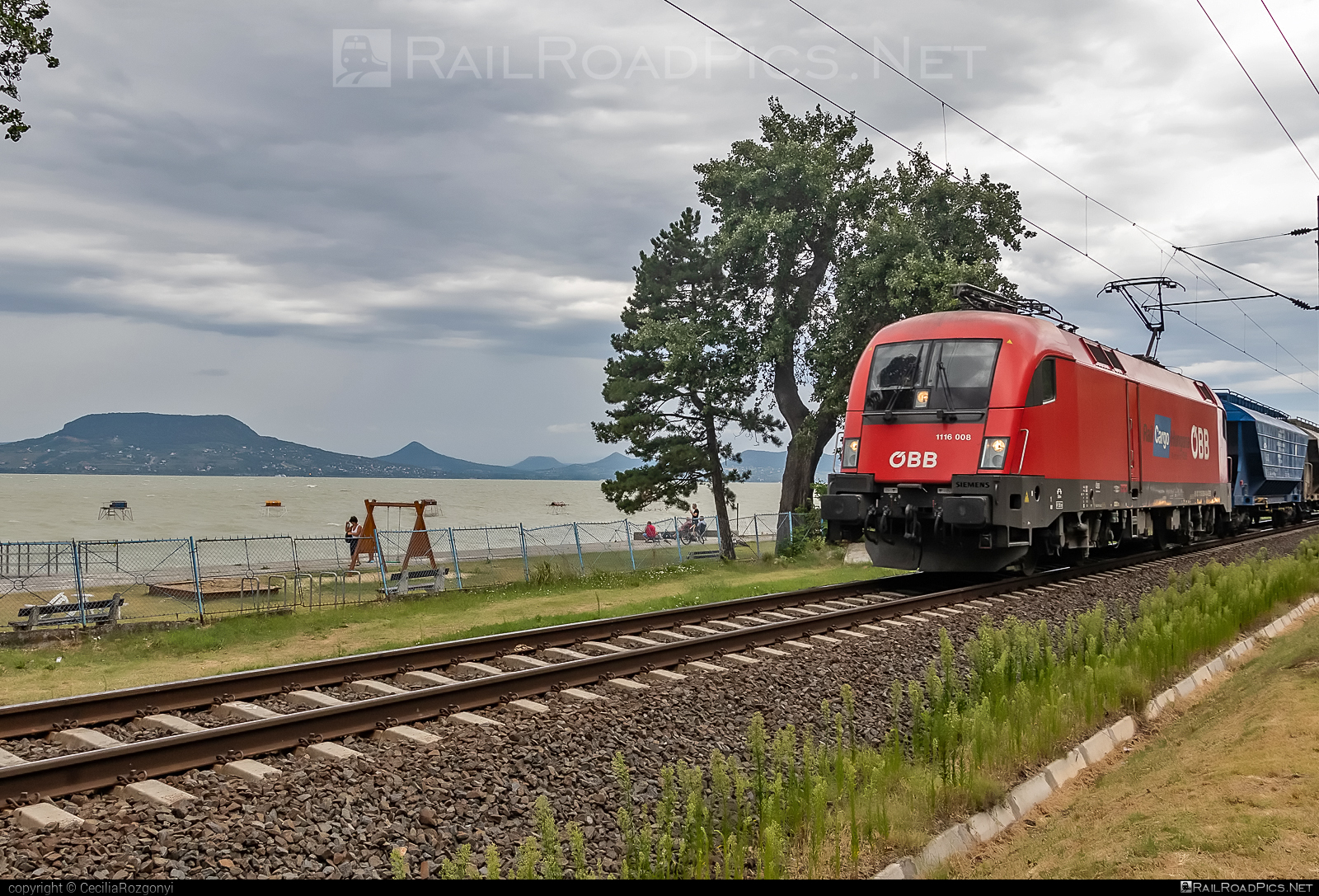 Siemens ES 64 U2 - 1116 008 operated by Rail Cargo Hungaria ZRt. #es64 #es64u2 #eurosprinter #hopperwagon #obb #osterreichischebundesbahnen #rch #siemens #siemensEs64 #siemensEs64u2 #siemenstaurus #taurus #tauruslocomotive