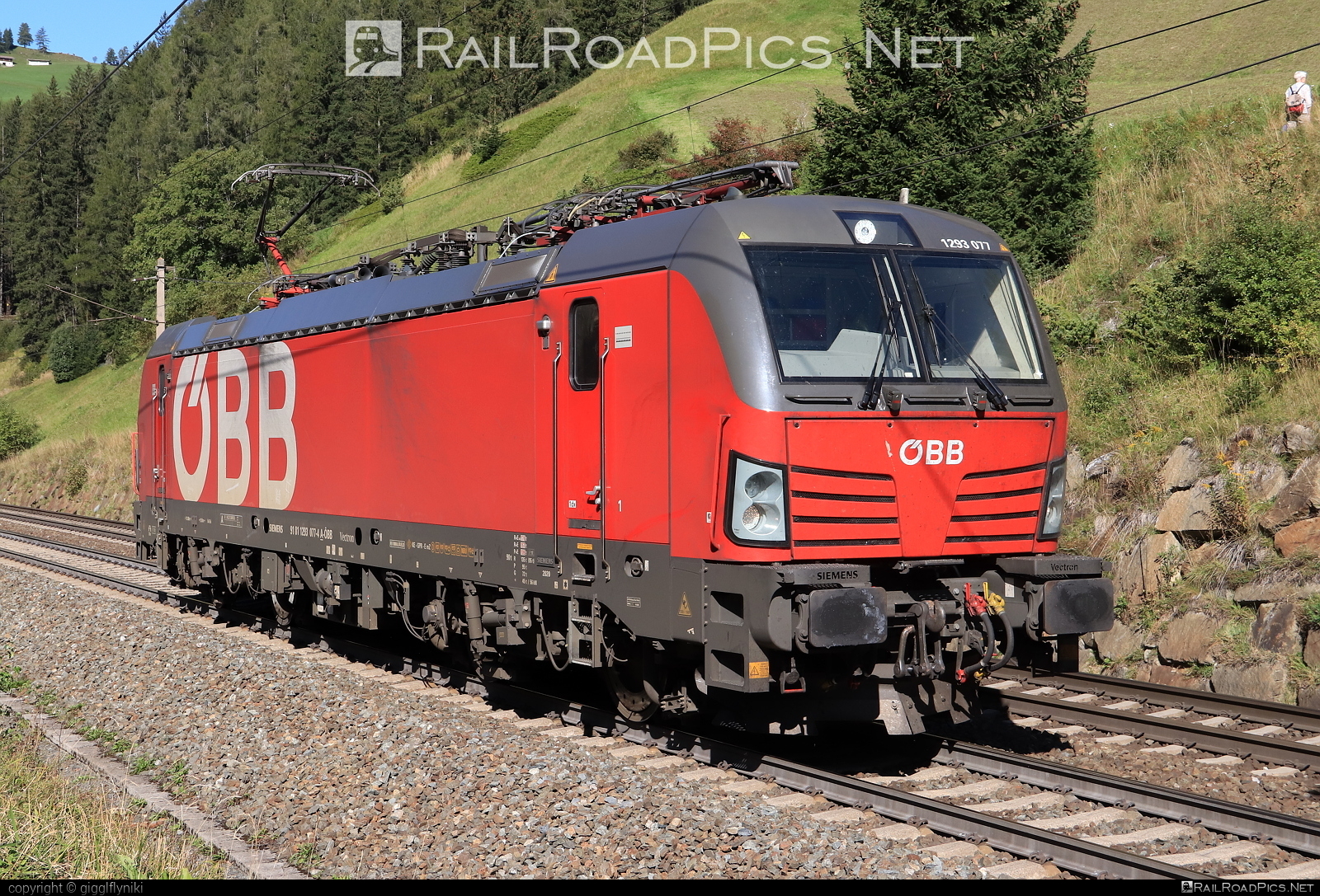 Siemens Vectron MS - 1293 077 operated by Rail Cargo Austria AG #obb #osterreichischebundesbahnen #rcw #siemens #siemensVectron #siemensVectronMS #vectron #vectronMS