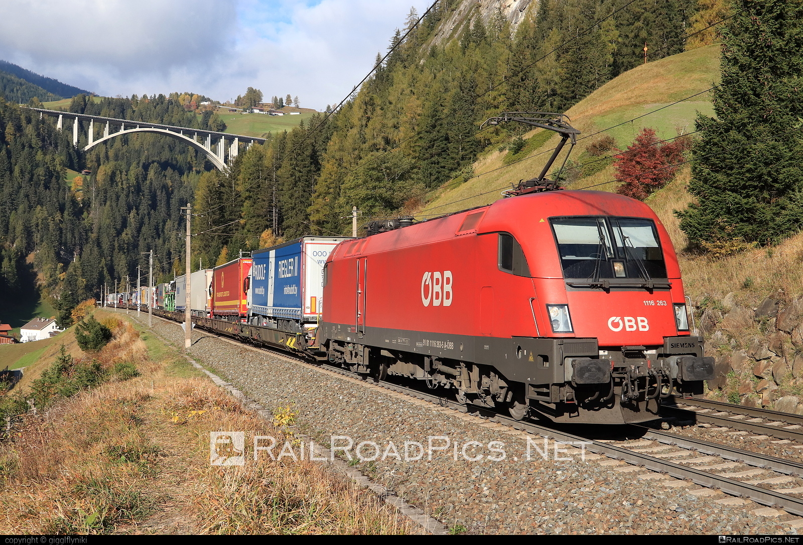Siemens ES 64 U2 - 1116 263 operated by Rail Cargo Austria AG #es64 #es64u2 #eurosprinter #flatwagon #obb #osterreichischebundesbahnen #rcw #siemens #siemensEs64 #siemensEs64u2 #siemenstaurus #taurus #tauruslocomotive #truck