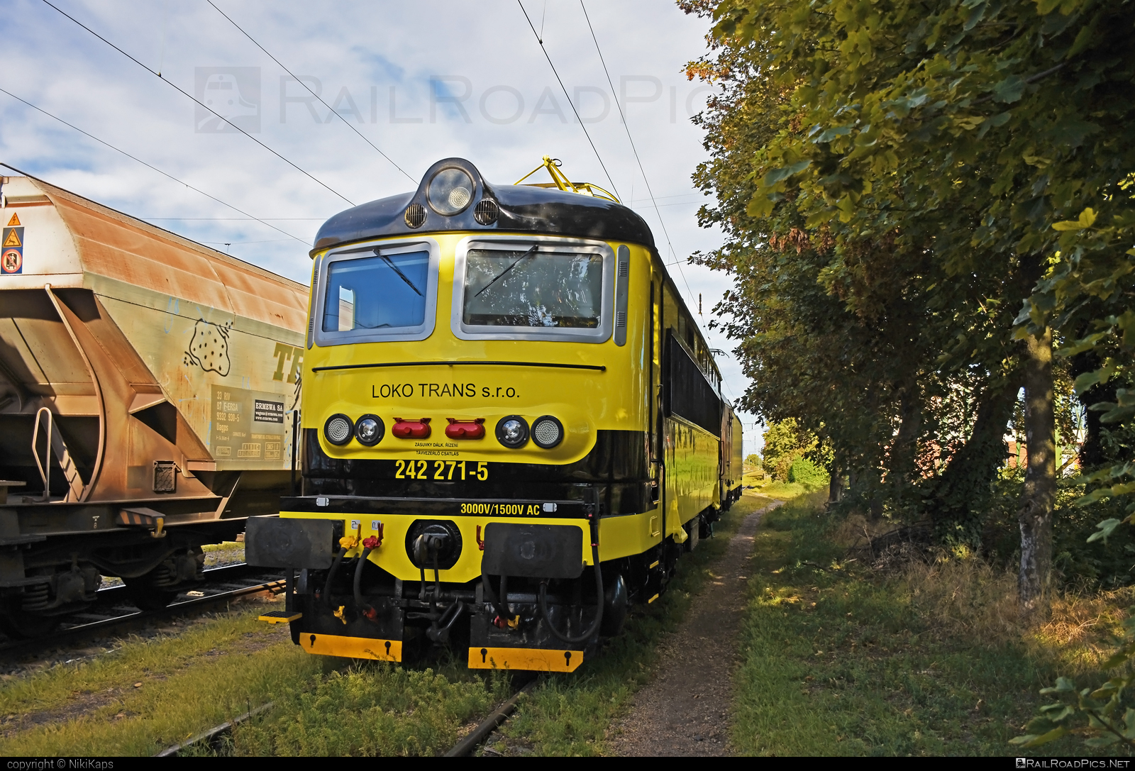Škoda 73E - 242 271-5 operated by LOKO TRANS s.r.o. #locomotive242 #lokotrans #plechac #skoda #skoda73e