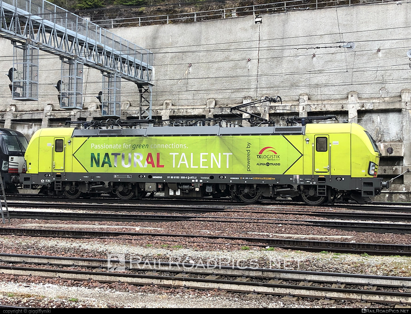 Siemens Vectron MS - 193 558 operated by TXLogistik #alphatrainsluxembourg #siemens #siemensvectron #siemensvectronms #txlogistik #vectron #vectronms