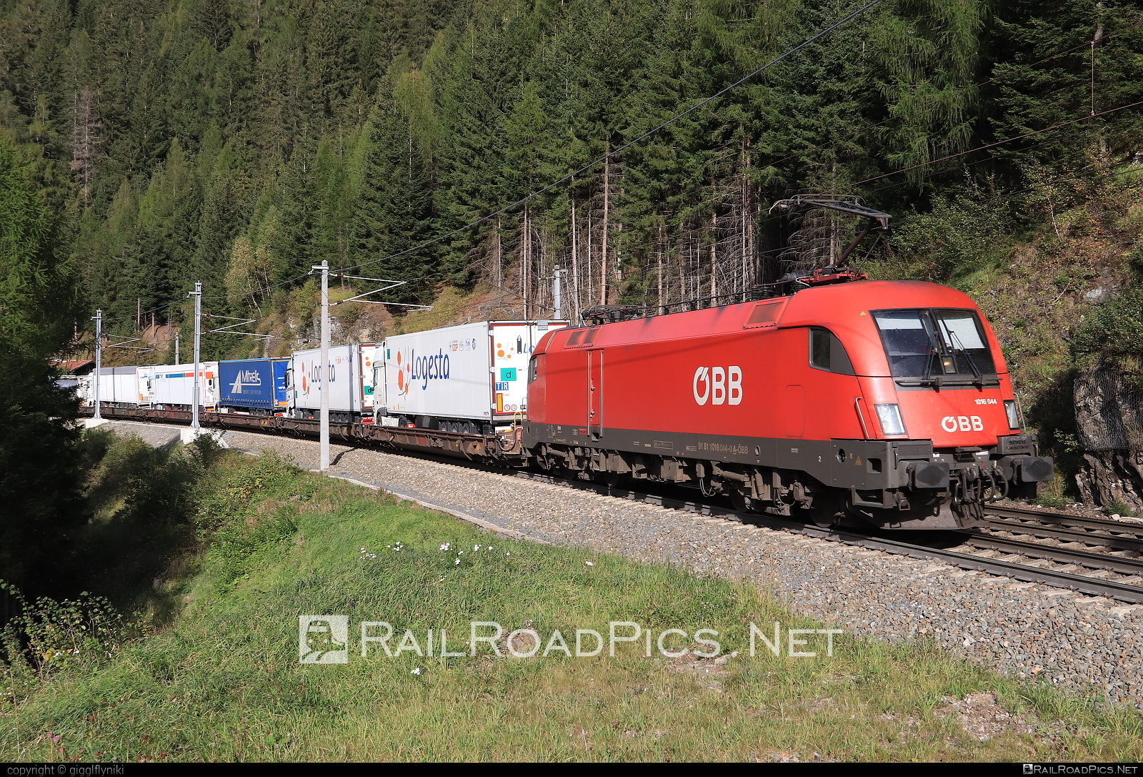 Siemens ES 64 U2 - 1016 044 operated by Rail Cargo Austria AG #es64 #es64u2 #eurosprinter #flatwagon #obb #osterreichischebundesbahnen #rcw #siemens #siemensEs64 #siemensEs64u2 #siemenstaurus #taurus #tauruslocomotive #truck