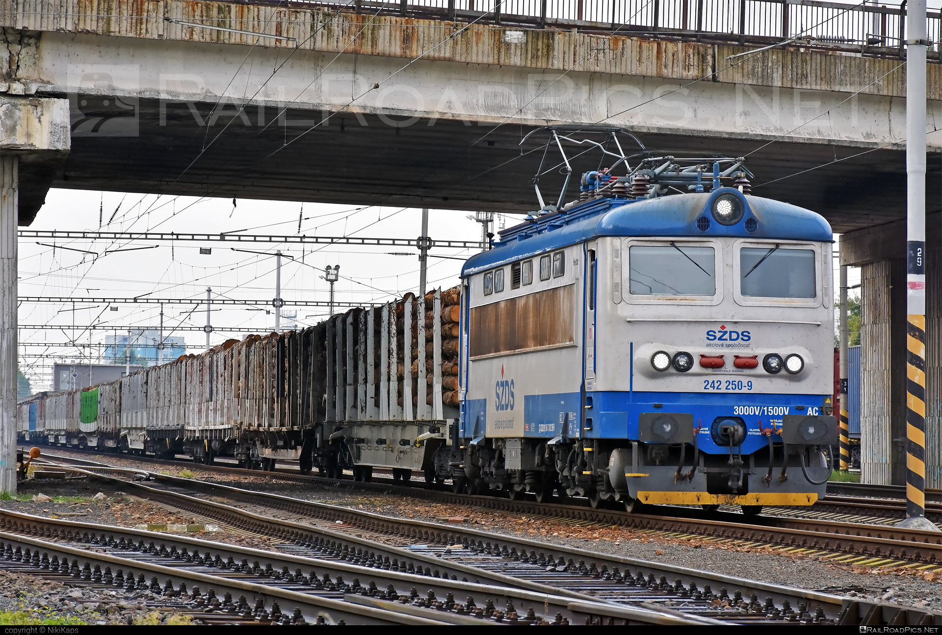 Škoda 73E - 242 250-9 operated by I. G. Rail, s. r. o. #flatwagon #igrail #locomotive242 #plechac #skoda #skoda73e #szds #wood