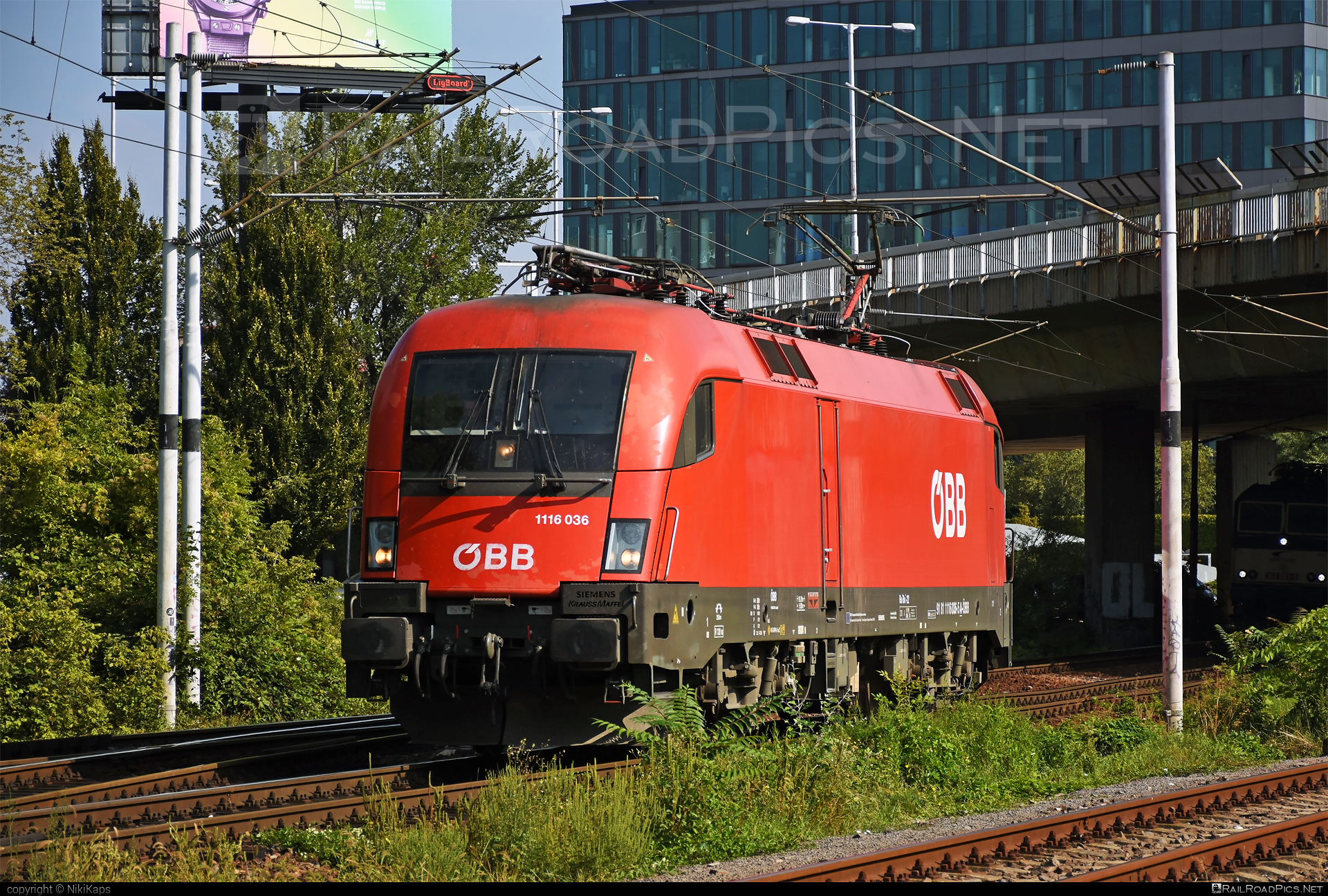 Siemens ES 64 U2 - 1116 036 operated by Rail Cargo Austria AG #es64 #es64u2 #eurosprinter #obb #osterreichischebundesbahnen #rcw #siemens #siemenses64 #siemenses64u2 #siemenstaurus #taurus #tauruslocomotive