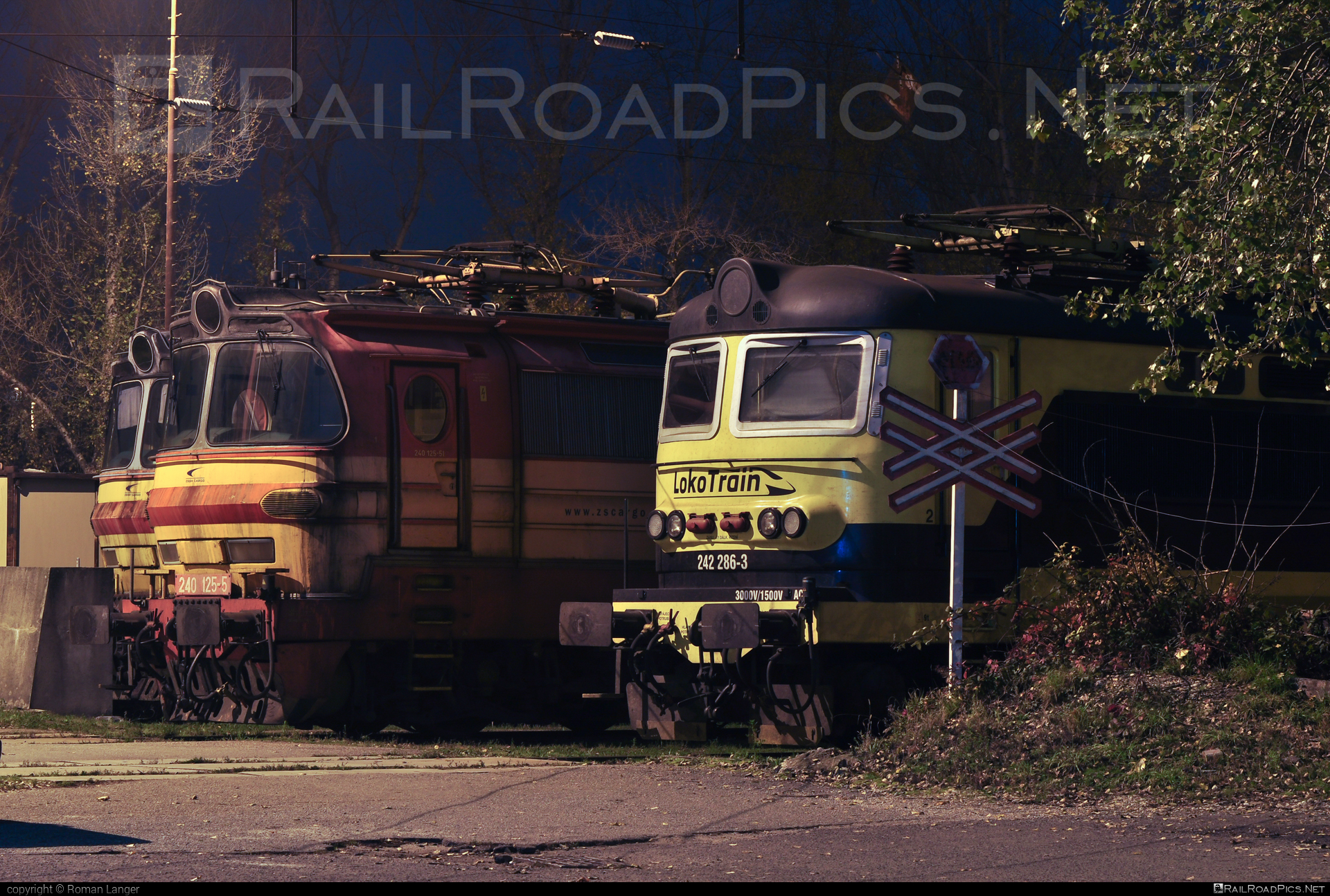 Škoda 73E - 242 286-3 operated by Loko Train s.r.o. #locomotive242 #lokotrain #lokotrainsro #plechac #skoda #skoda73e