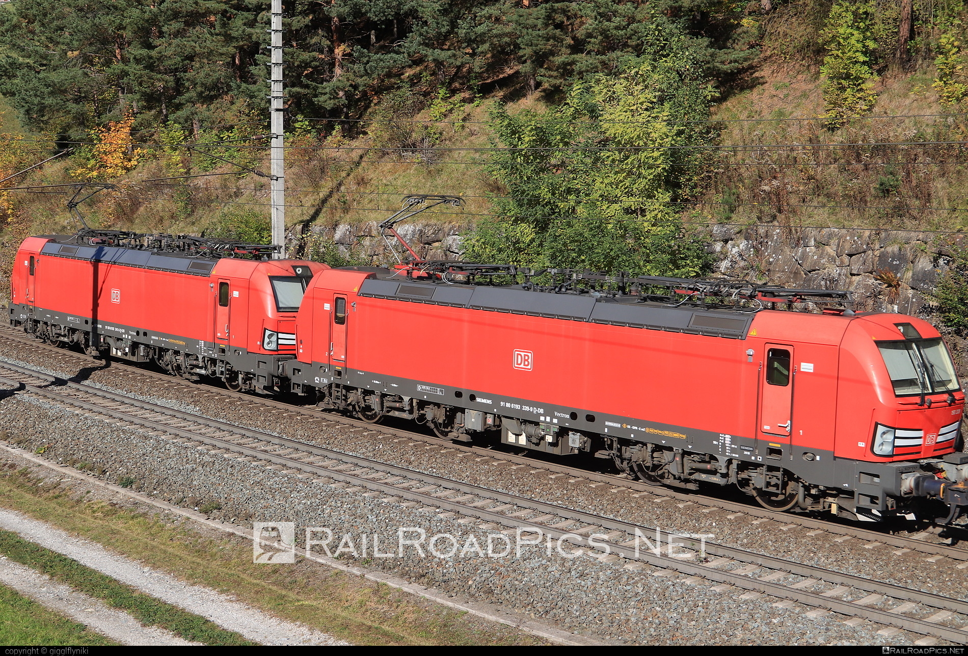 Siemens Vectron MS - 193 339 operated by DB Cargo AG #db #dbcargo #dbcargoag #deutschebahn #siemens #siemensVectron #siemensVectronMS #vectron #vectronMS