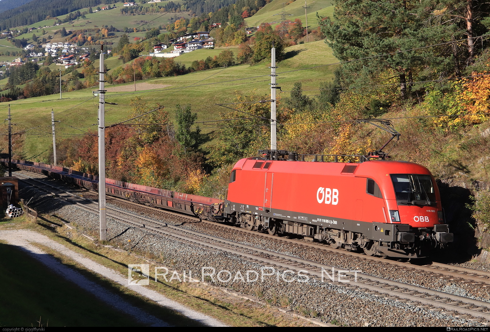Siemens ES 64 U2 - 1116 085 operated by Rail Cargo Austria AG #es64 #es64u2 #eurosprinter #flatwagon #obb #osterreichischebundesbahnen #rcw #siemens #siemensEs64 #siemensEs64u2 #siemenstaurus #taurus #tauruslocomotive