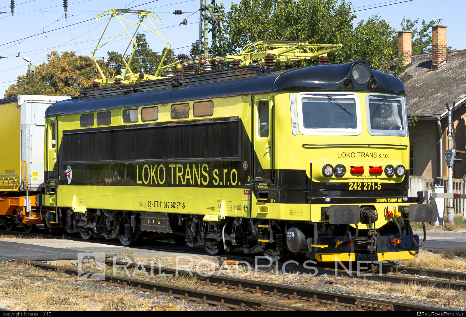 Škoda 73E - 242 271-5 operated by LOKO TRANS #locomotive242 #lokotrans #lts #plechac #skoda #skoda73e