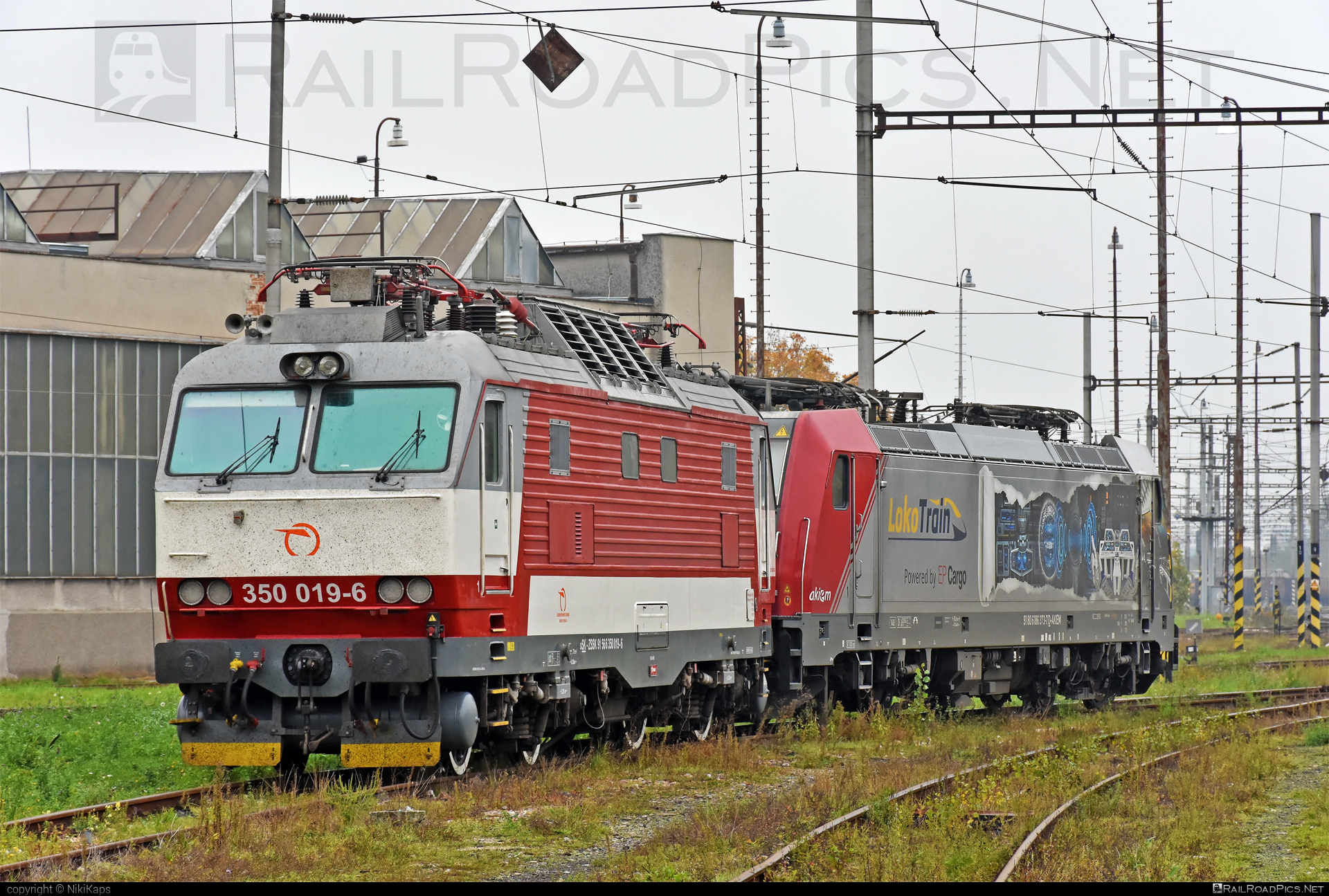 Škoda 55E - 350 019-6 operated by Železničná Spoločnost' Slovensko, a.s. #ZeleznicnaSpolocnostSlovensko #gorila #locomotive350 #skoda #skoda55e #zssk