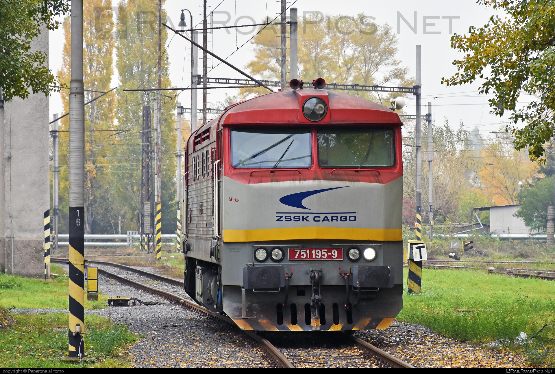 ČKD T 478.1 (751) - 751 195-9 operated by Železničná Spoločnost' Cargo Slovakia a.s. #ZeleznicnaSpolocnostCargoSlovakia #bardotka #ckd #ckd4781 #ckd751 #ckdt4781 #zamracena #zsskcargo