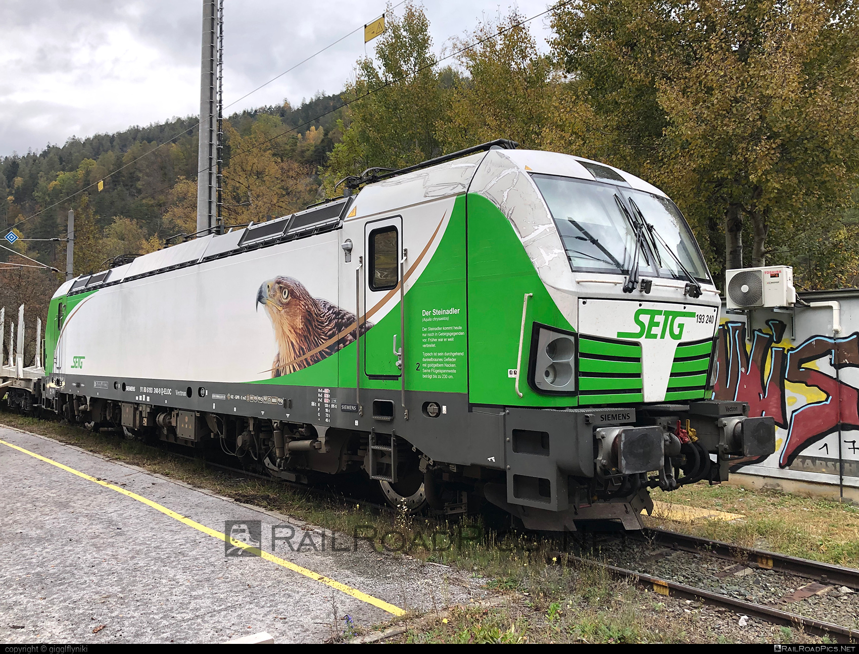 Siemens Vectron AC - 193 240 operated by Salzburger Eisenbahn Transportlogistik GmbH #SalzburgerEisenbahnTransportlogistik #SalzburgerEisenbahnTransportlogistikGmbH #ell #ellgermany #eloc #europeanlocomotiveleasing #setg #siemens #siemensvectron #siemensvectronac #vectron #vectronac
