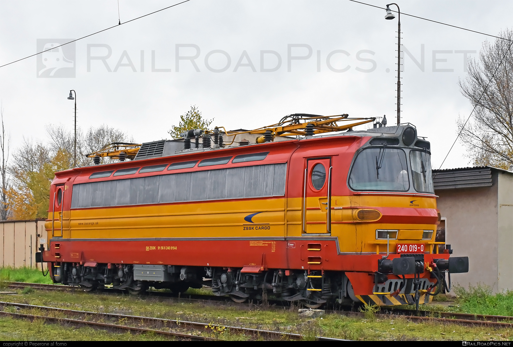 Škoda 47E - 240 019-0 operated by Železničná Spoločnost' Cargo Slovakia a.s. #ZeleznicnaSpolocnostCargoSlovakia #ZeleznicnaSpolocnostSlovensko #laminatka #locomotive240 #skoda #skoda47e #zssk #zsskcargo