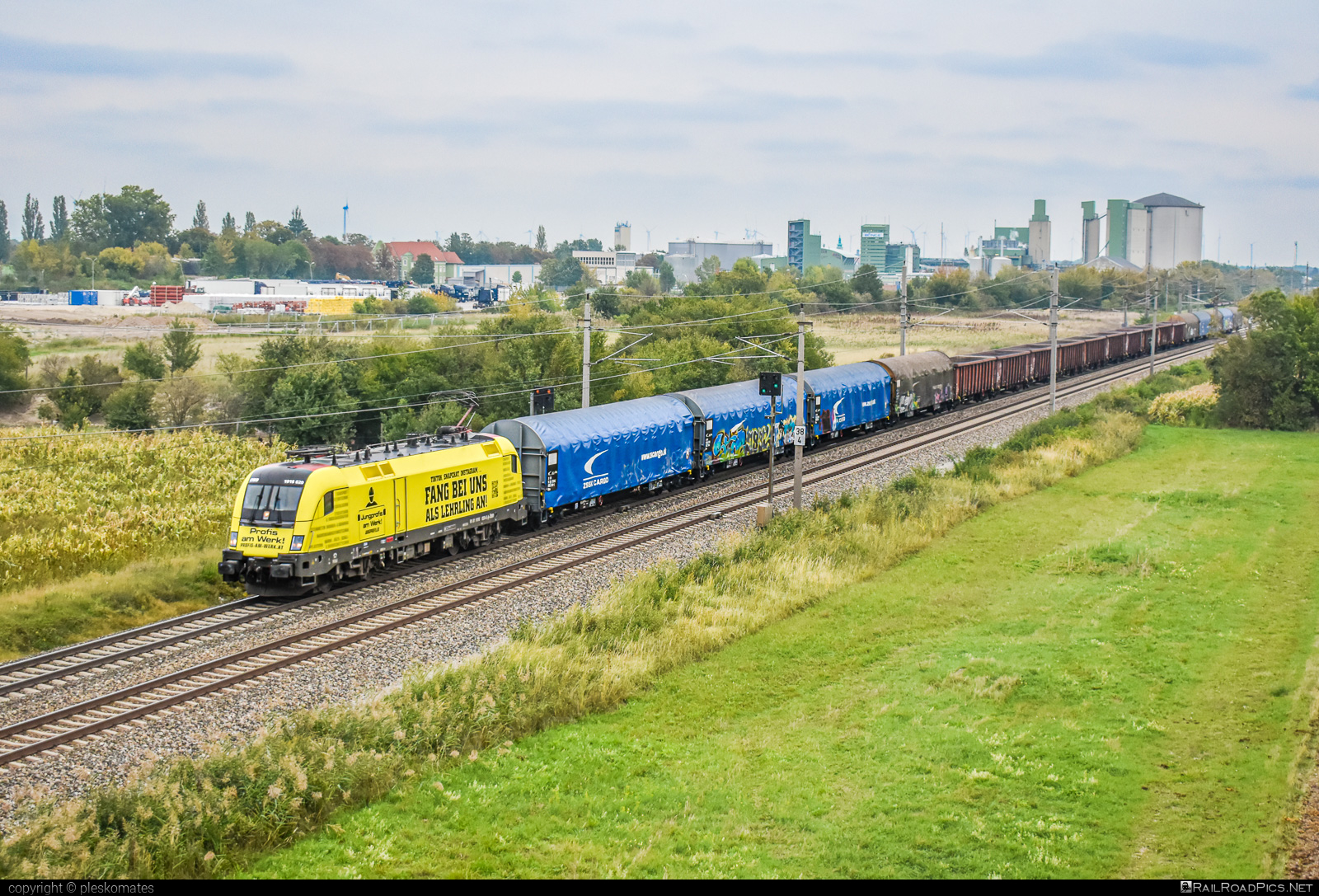 Siemens ES 64 U2 - 1016 020 operated by Rail Cargo Austria AG #es64 #es64u2 #eurosprinter #mixofcargo #obb #osterreichischebundesbahnen #rcw #siemens #siemensEs64 #siemensEs64u2 #siemenstaurus #taurus #tauruslocomotive