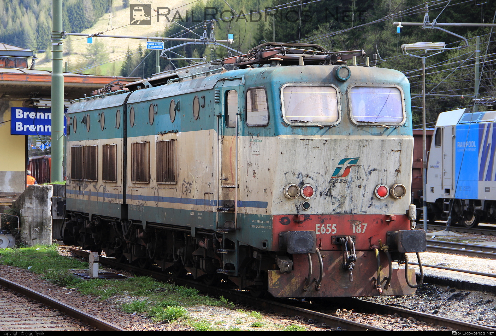 FS Class E.655 - E655 187 operated by Mercitalia Rail S.r.l. #caimano #classE655 #e655locomotive #ferroviedellostato #fs #fsClassE655 #fsitaliane #mercitalia #trenitalia #trenitaliaspa