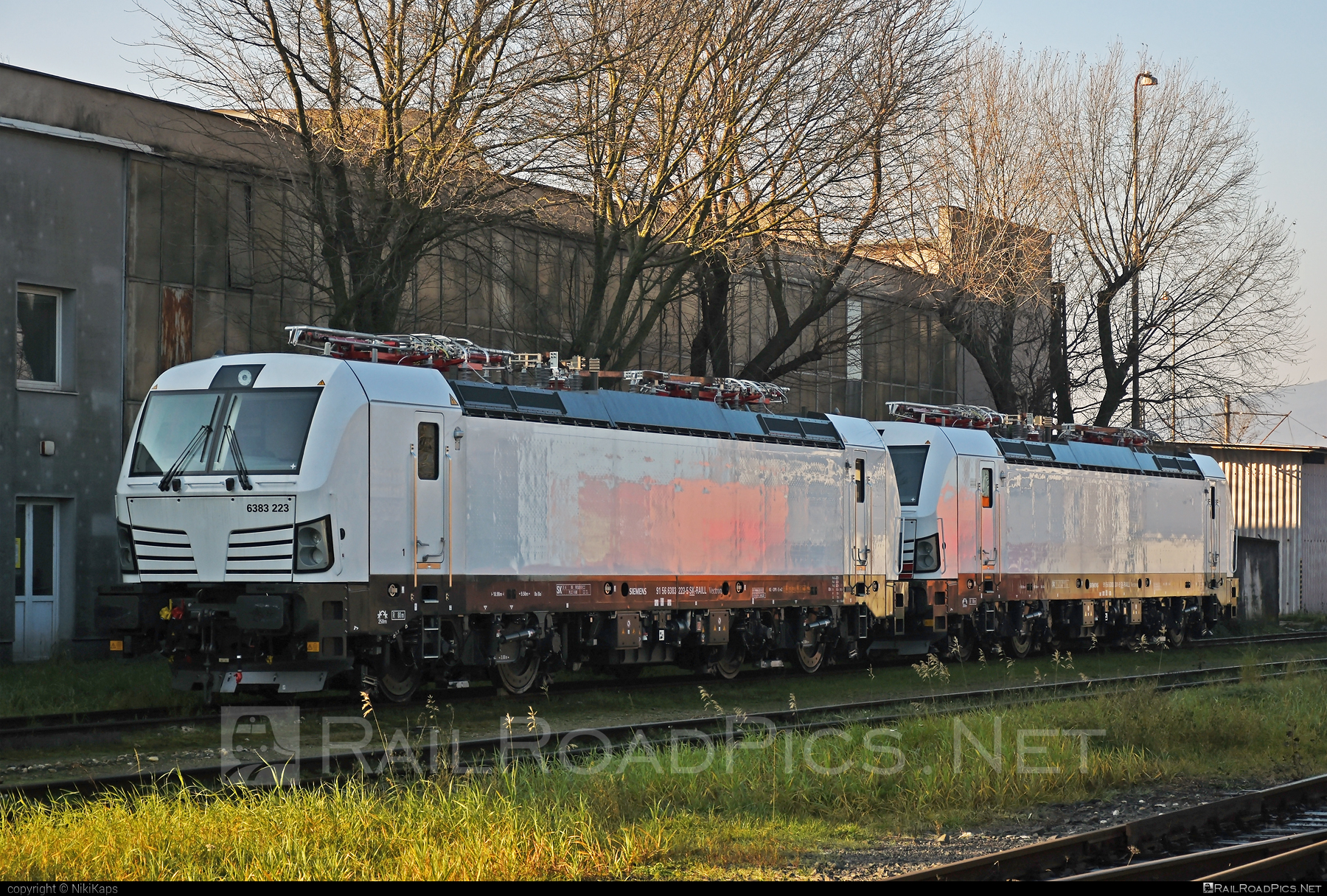 Siemens Vectron MS - 383 223-5 operated by LOKORAIL, a.s. #RollingStockLease #RollingStockLeaseSro #budamar #lokorail #lrl #raill #siemens #siemensVectron #siemensVectronMS #vectron #vectronMS