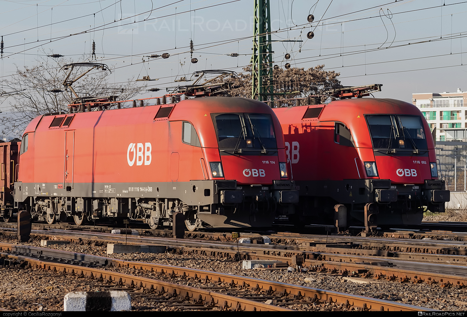 Siemens ES 64 U2 - 1116 114 operated by Rail Cargo Hungaria ZRt. #es64 #es64u2 #eurosprinter #obb #osterreichischebundesbahnen #rch #siemens #siemensEs64 #siemensEs64u2 #siemenstaurus #taurus #tauruslocomotive
