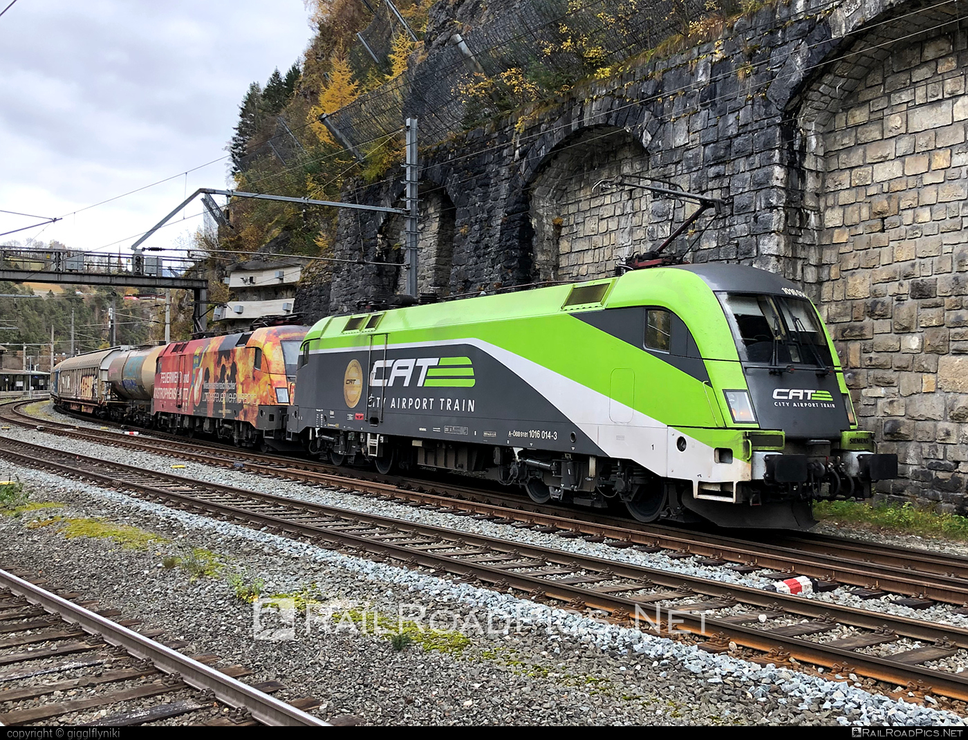 Siemens ES 64 U2 - 1016 014 operated by Rail Cargo Austria AG #cat #es64 #es64u2 #eurosprinter #mixofcargo #obb #osterreichischebundesbahnen #rcw #siemens #siemensEs64 #siemensEs64u2 #siemenstaurus #taurus #tauruslocomotive