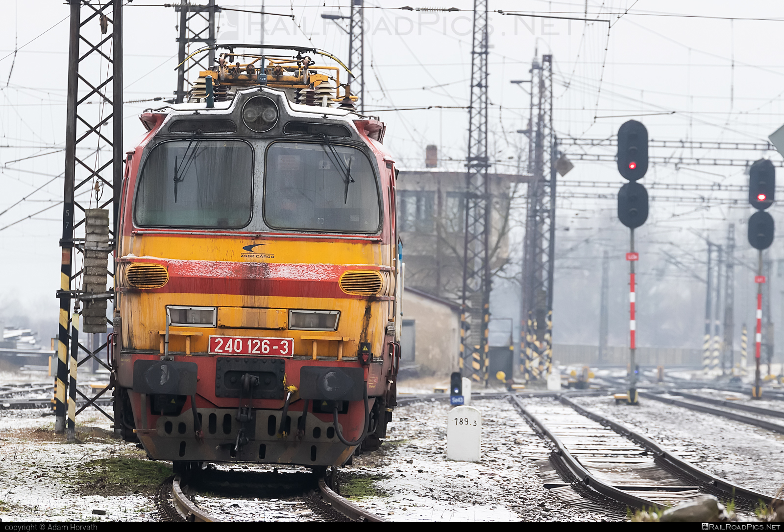 Škoda 47E - 240 126-3 operated by Železničná Spoločnost' Cargo Slovakia a.s. #ZeleznicnaSpolocnostCargoSlovakia #ZeleznicnaSpolocnostSlovensko #laminatka #locomotive240 #skoda #skoda47e #zssk #zsskcargo
