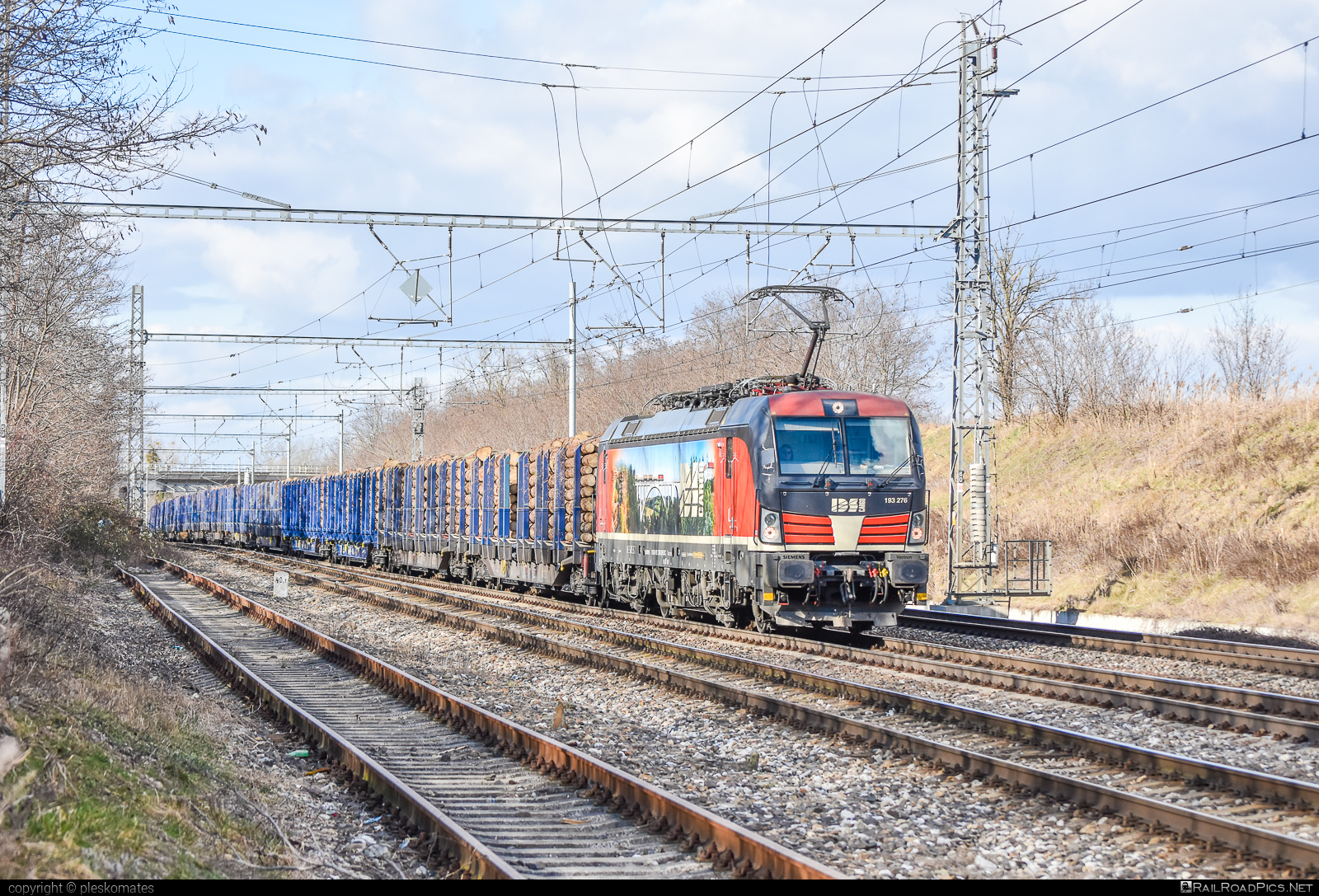 Siemens Vectron MS - 193 276 operated by IDS CARGO a. s. #ell #ellgermany #eloc #europeanlocomotiveleasing #idsc #idscargo #siemens #siemensVectron #siemensVectronMS #vectron #vectronMS #wood
