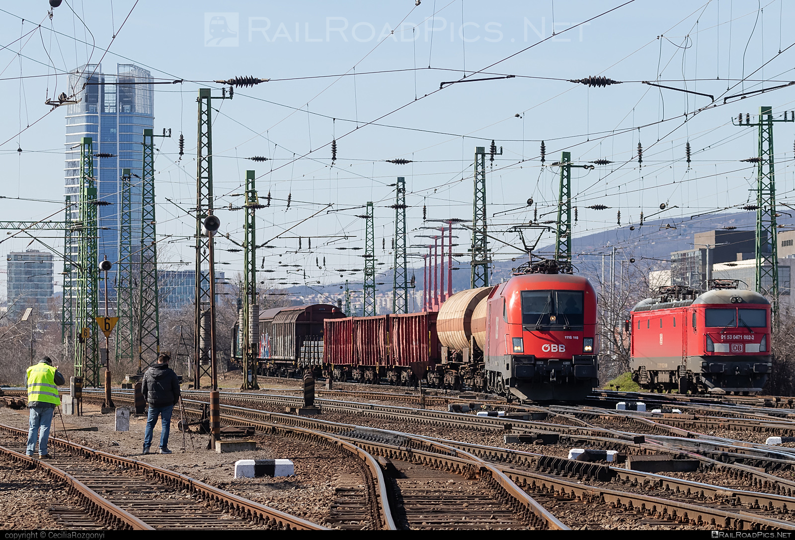 Siemens ES 64 U2 - 1116 118 operated by Rail Cargo Hungaria ZRt. #es64 #es64u2 #eurosprinter #mixofcargo #obb #osterreichischebundesbahnen #rch #siemens #siemensEs64 #siemensEs64u2 #siemenstaurus #taurus #tauruslocomotive