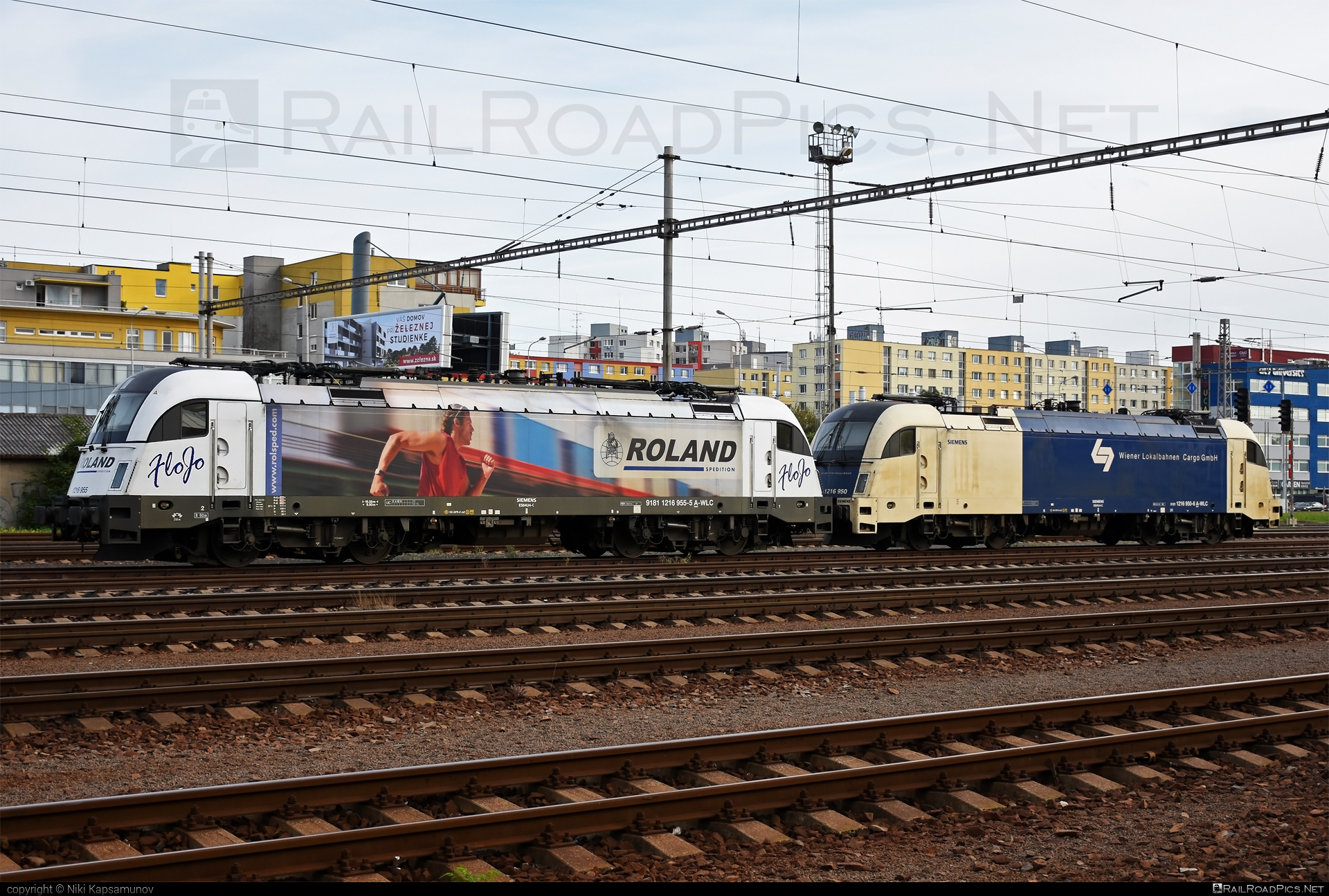 Siemens ES 64 U4 - 1216 955 operated by Wiener Lokalbahnen Cargo GmbH #FloJo #es64 #es64u4 #eurosprinter #roland #rolandspedition #siemens #siemenses64 #siemenses64u4 #siemenstaurus #tauruslocomotive #wienerlokalbahnencargo #wienerlokalbahnencargogmbh #wlc