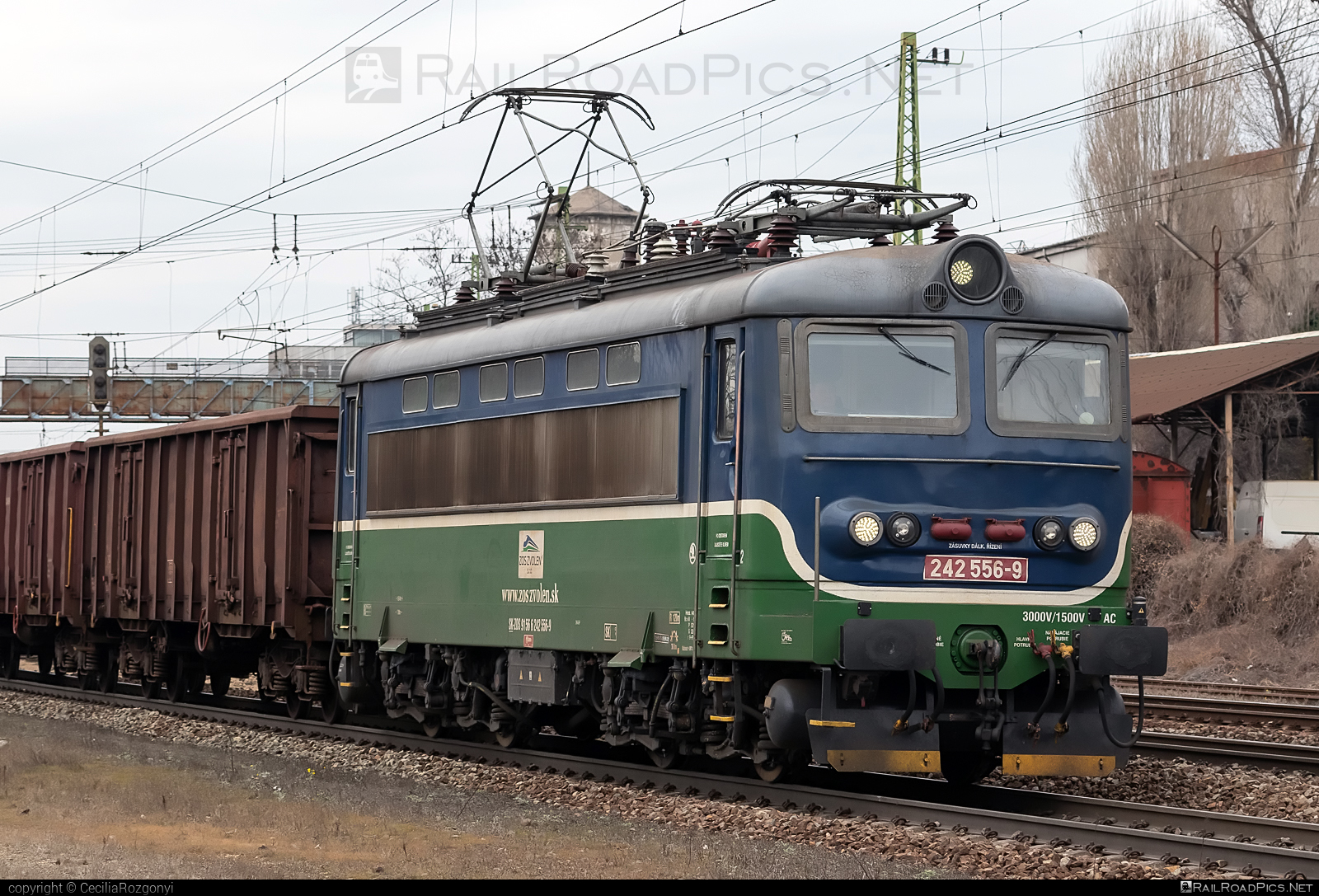 Škoda 73E - 242 556-9 operated by Express Group, a.s. #locomotive242 #openwagon #plechac #skoda #skoda73e #zoszvolen