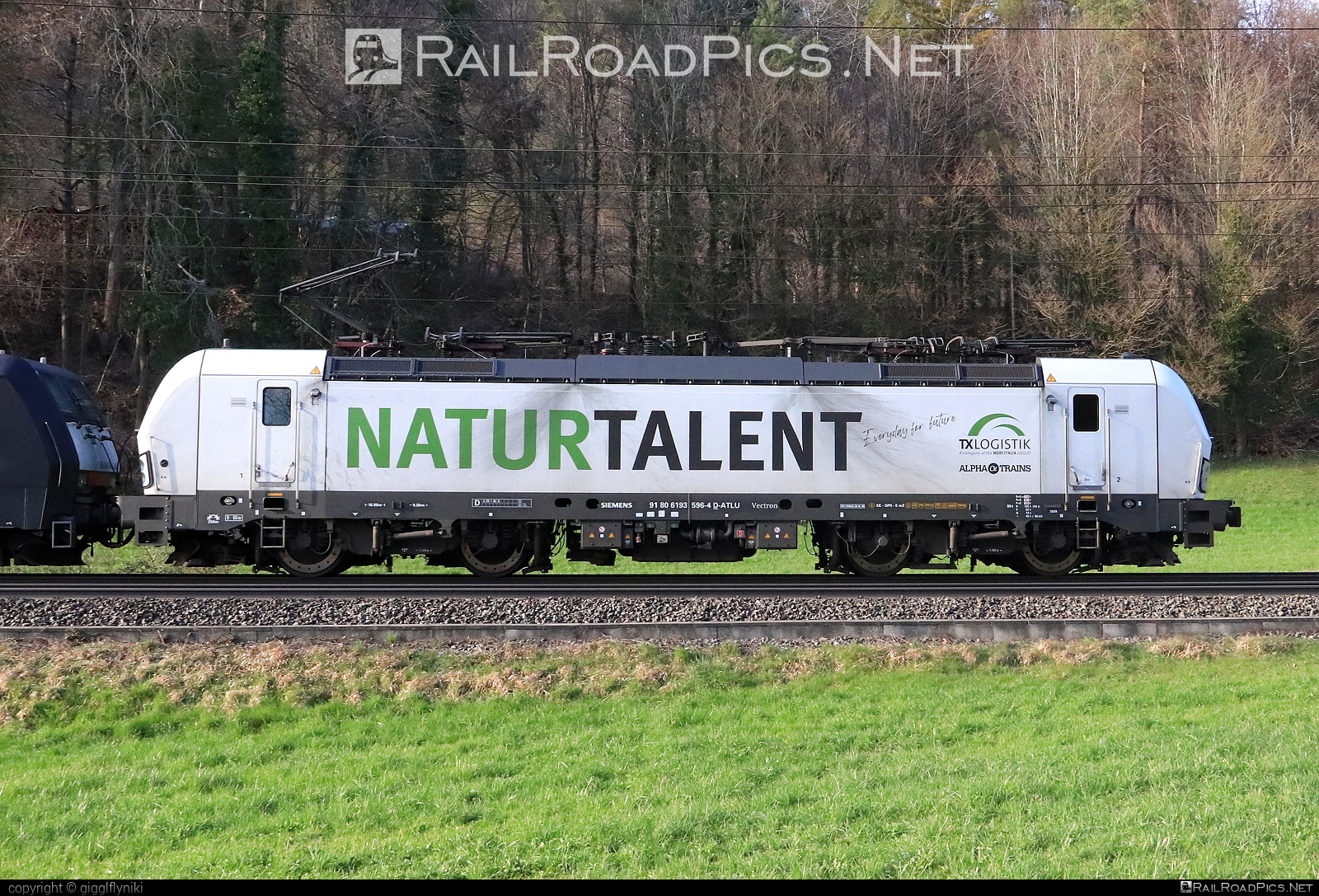 Siemens Vectron MS - 193 596 operated by TXLogistik #alphatrainsluxembourg #siemens #siemensVectron #siemensVectronMS #txlogistik #vectron #vectronMS