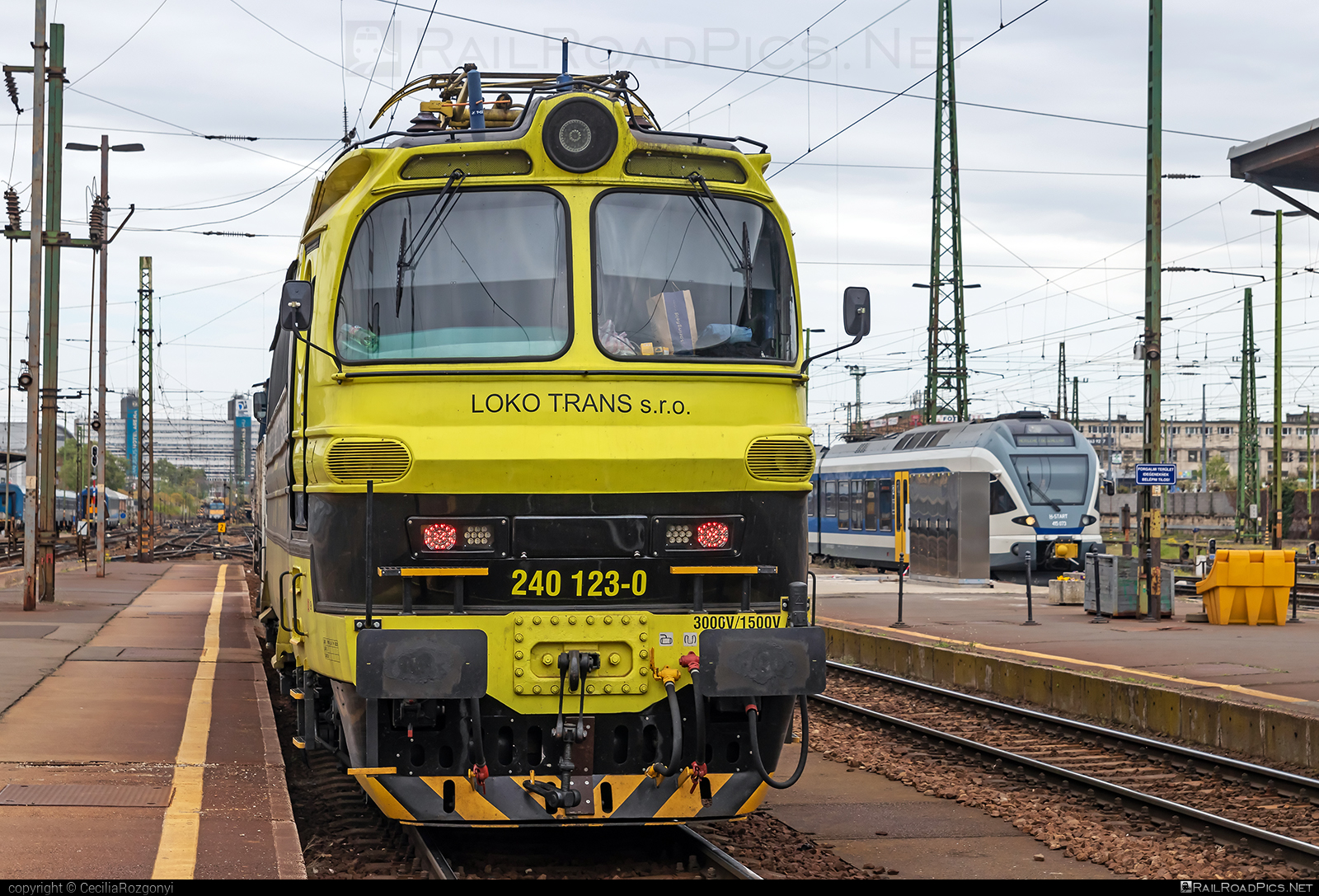 Škoda 47E - 240 123-0 operated by LOKO TRANS s.r.o. #laminatka #locomotive240 #lokotrans #ltb #skoda #skoda47e
